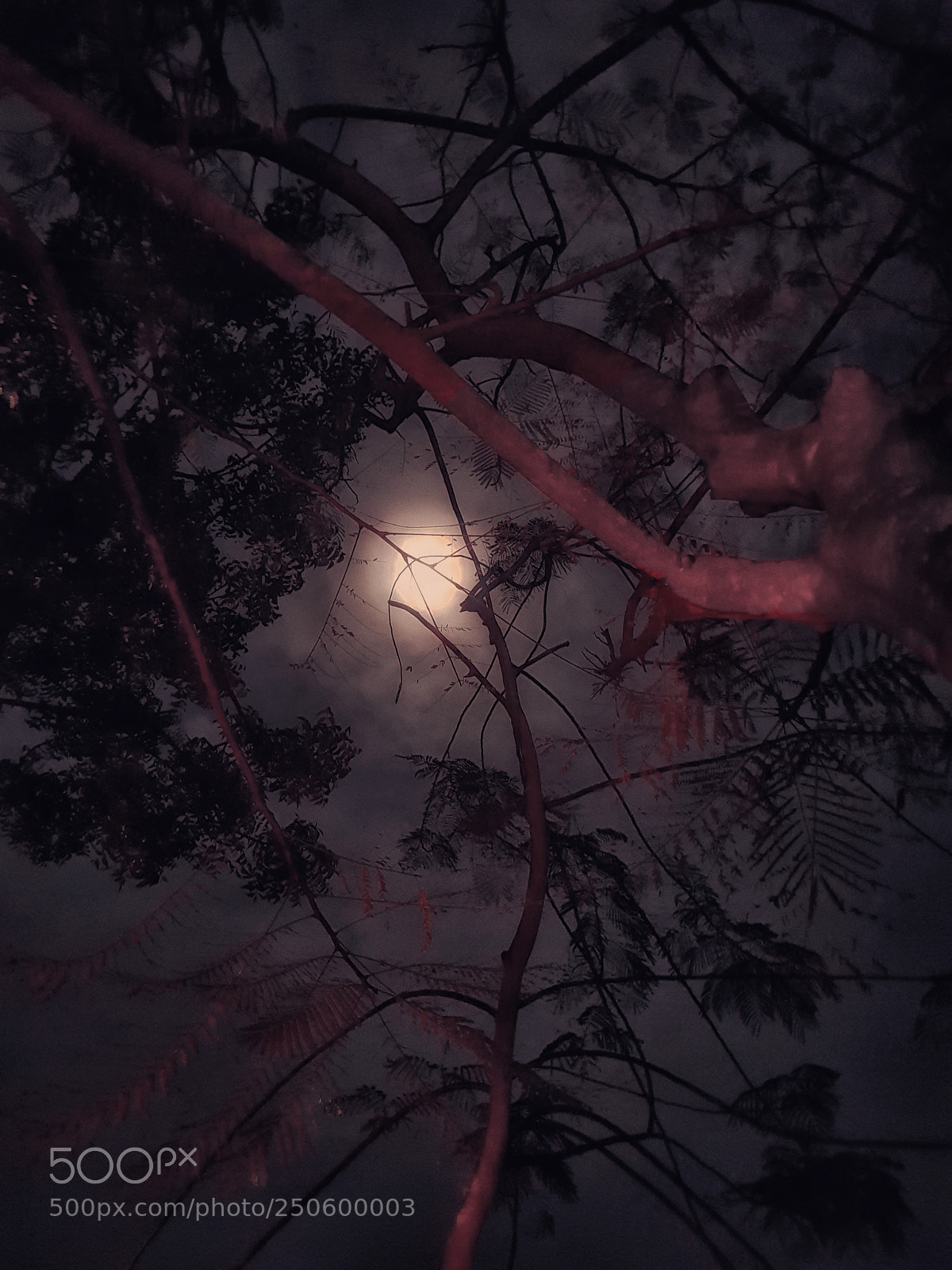 Samsung Galaxy S8 sample photo. Greeting moon photography