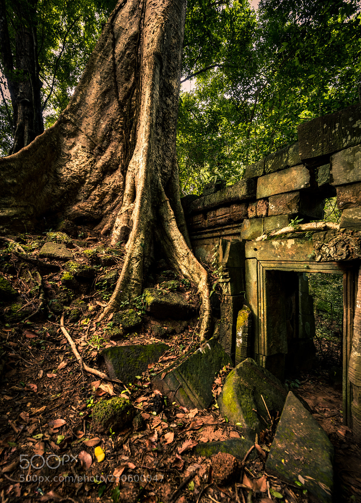 Nikon D810 sample photo. Ta prohm photography