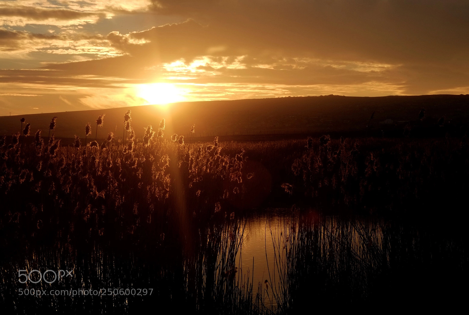 Fujifilm X-Pro1 sample photo. Lake and sun photography