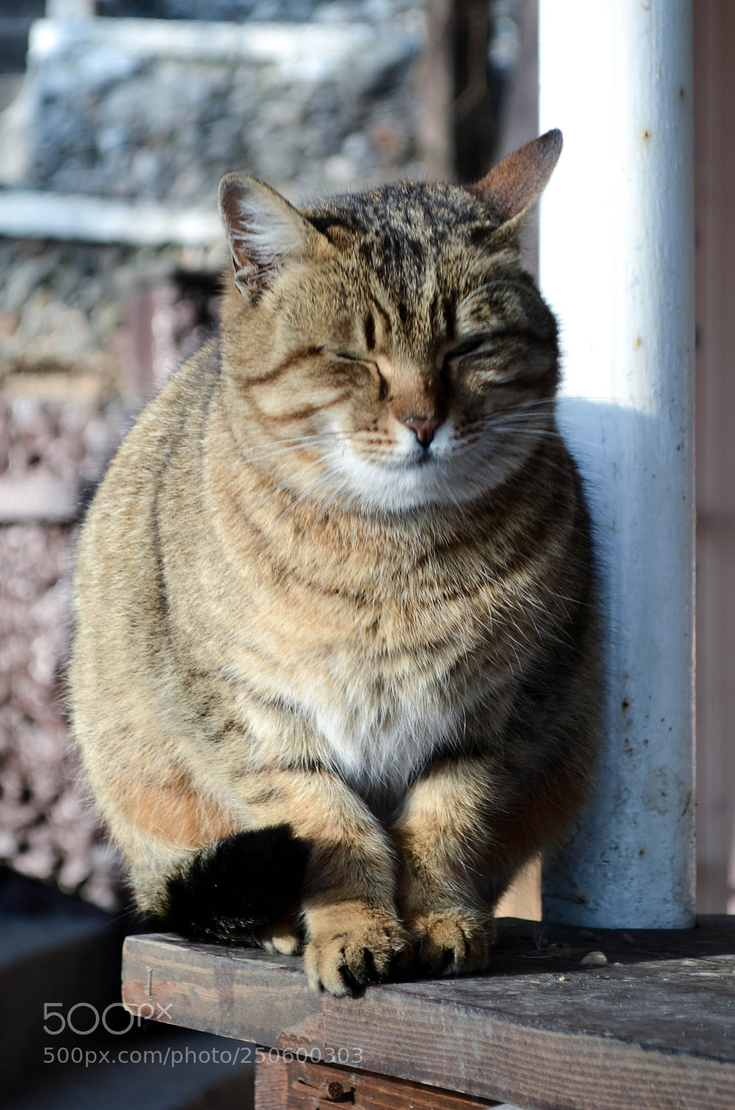 Nikon D5100 sample photo. Mmmm nice sun photography