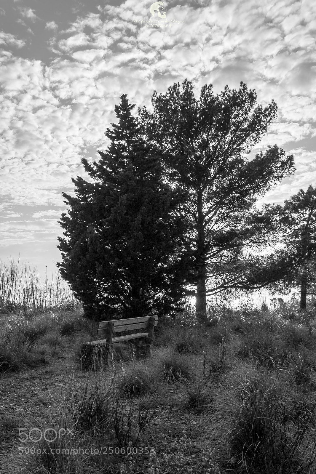 Canon EOS 40D sample photo. Solitude photography