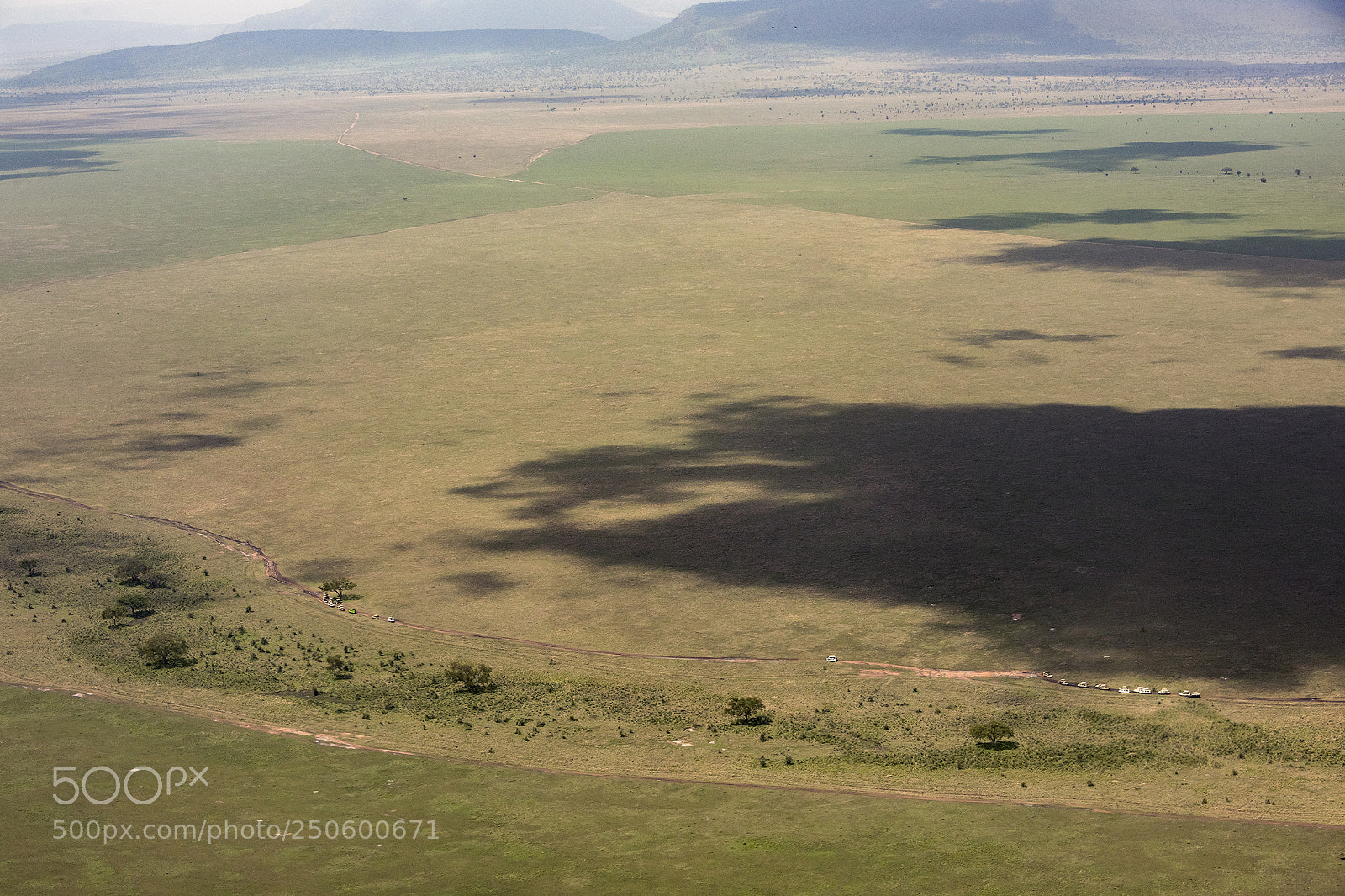 Nikon D810 sample photo. Aerial view, serengeti plains photography
