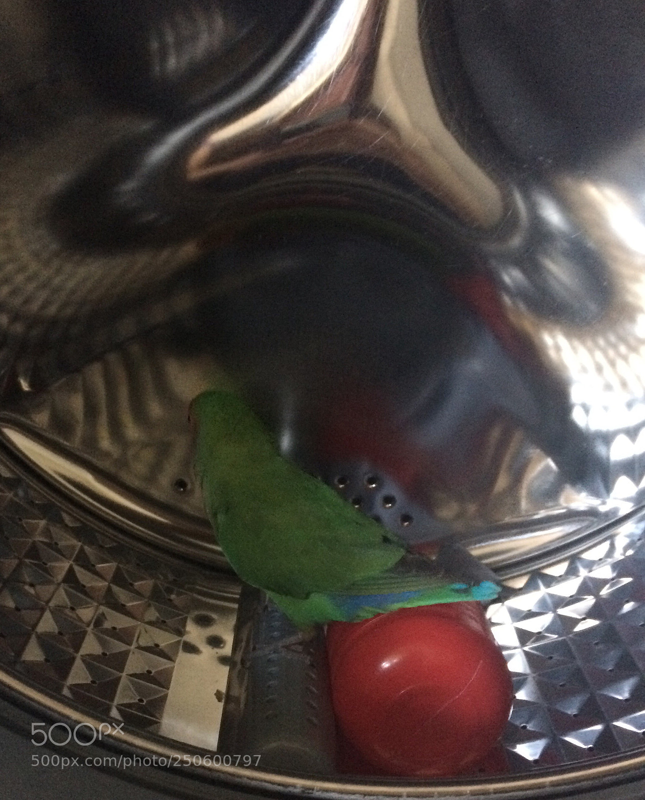 Apple iPhone 5s sample photo. Untitled photography