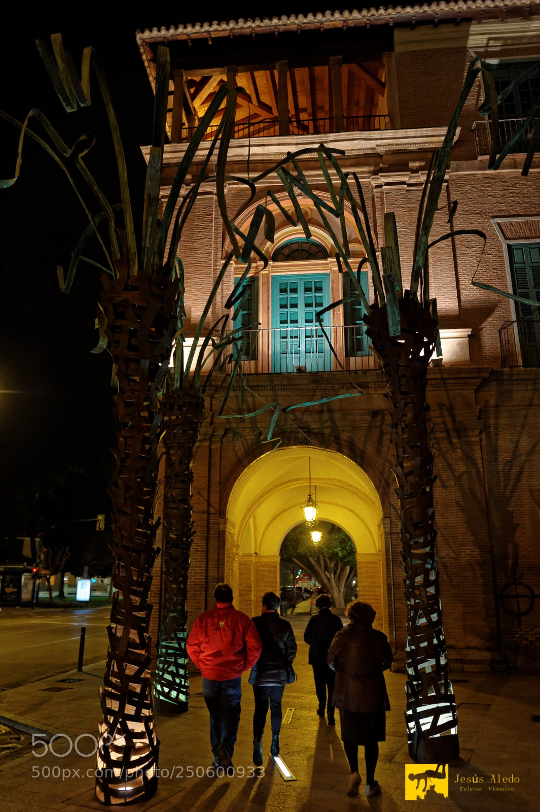 Nikon Df sample photo. "iron palms" photography