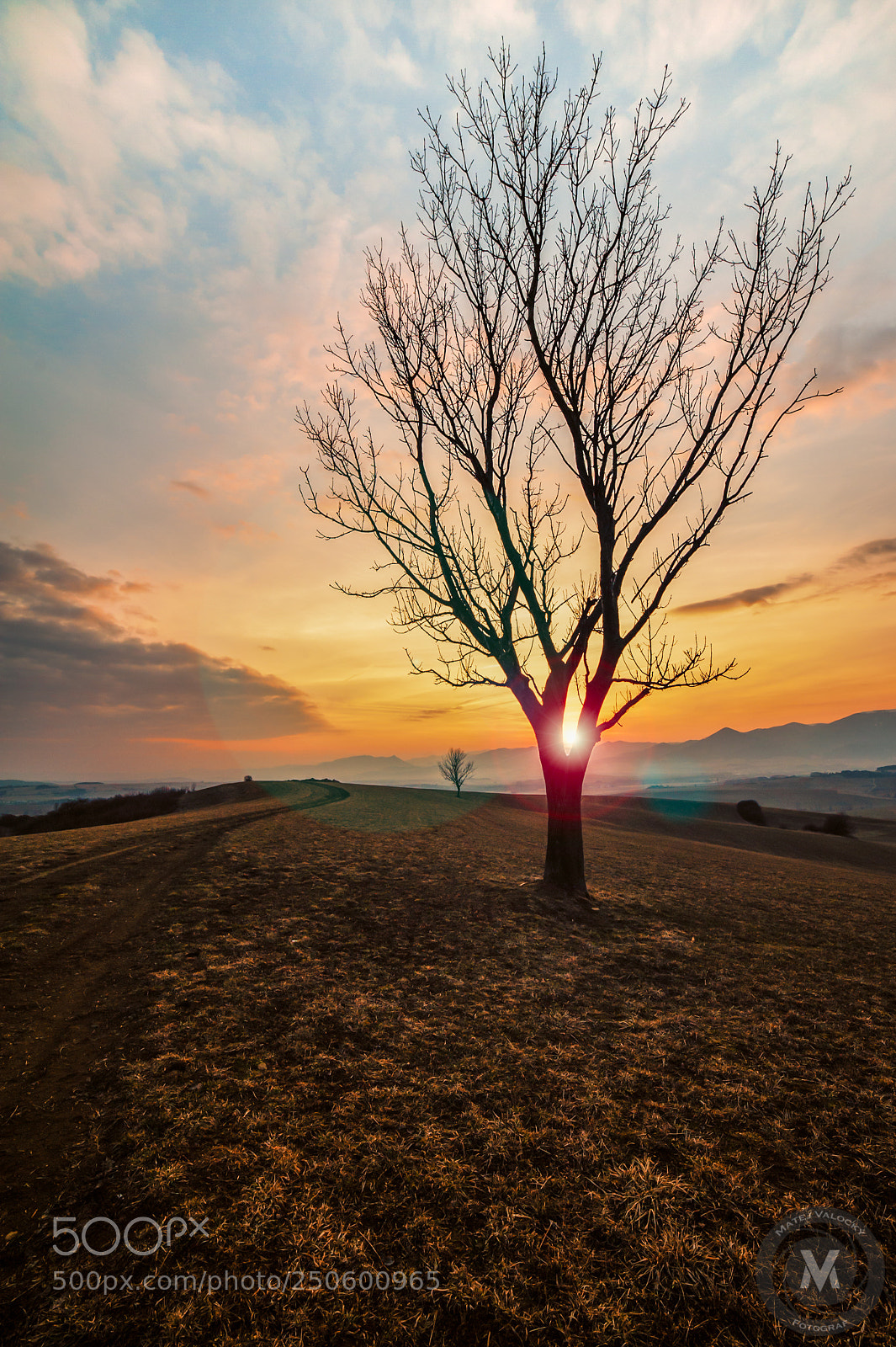 Nikon D700 sample photo. Early spring in turiec photography