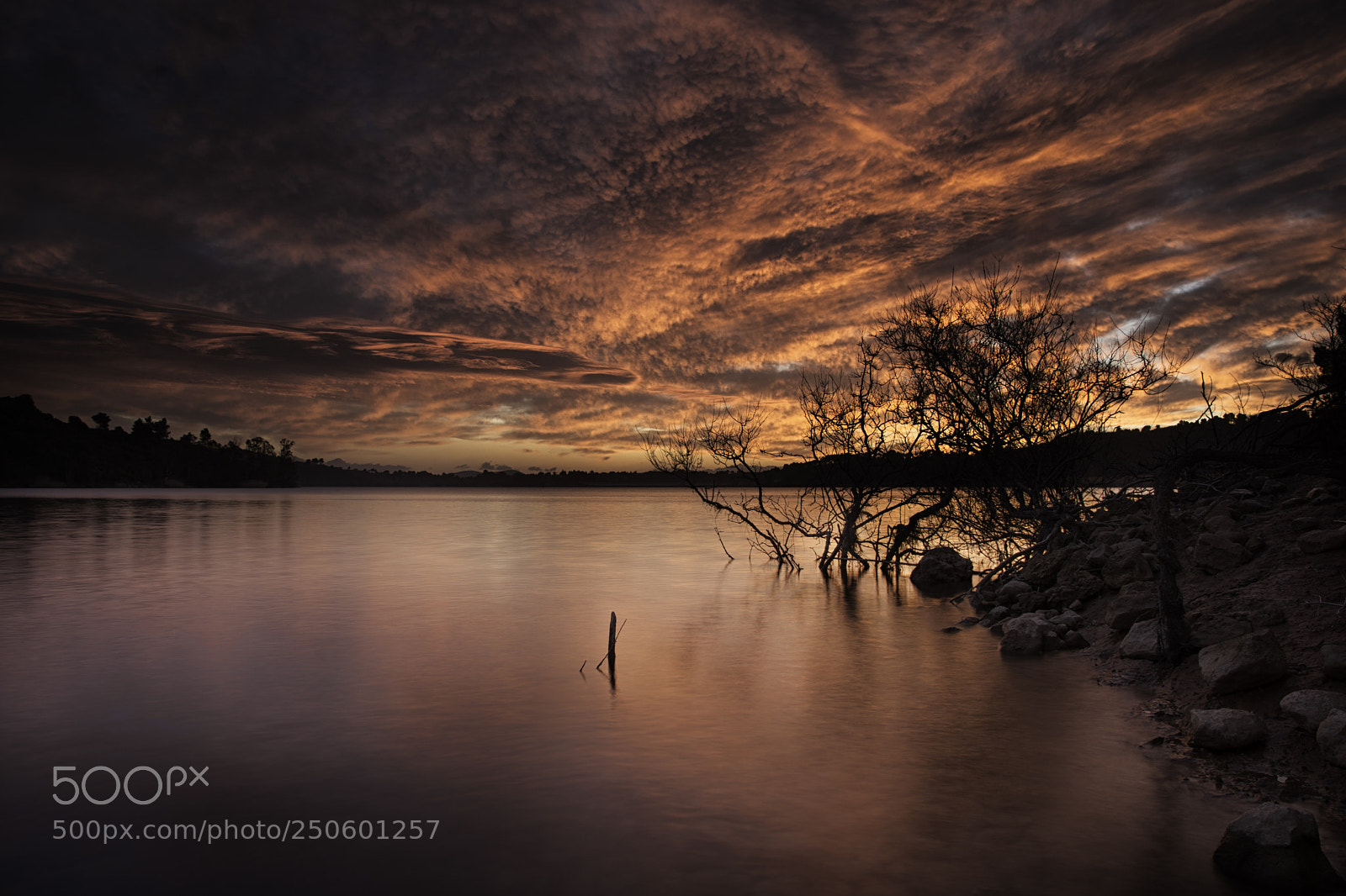 Nikon D7200 sample photo. Fire in the sky photography