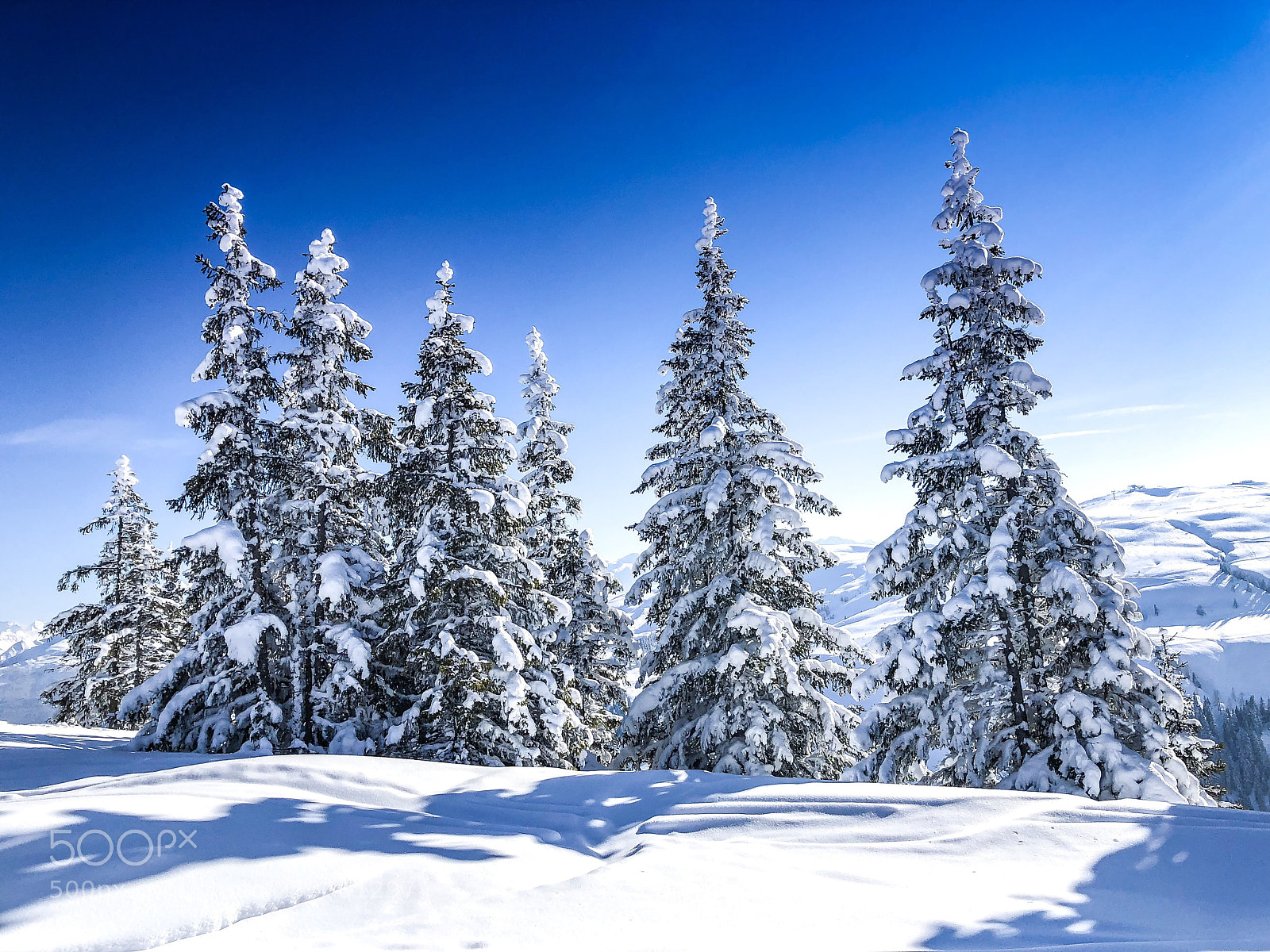 Apple iPhone X sample photo. Snow trees photography