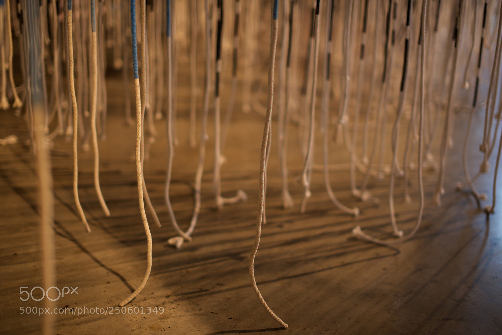 Nikon D610 sample photo. Ropes in bienal of photography
