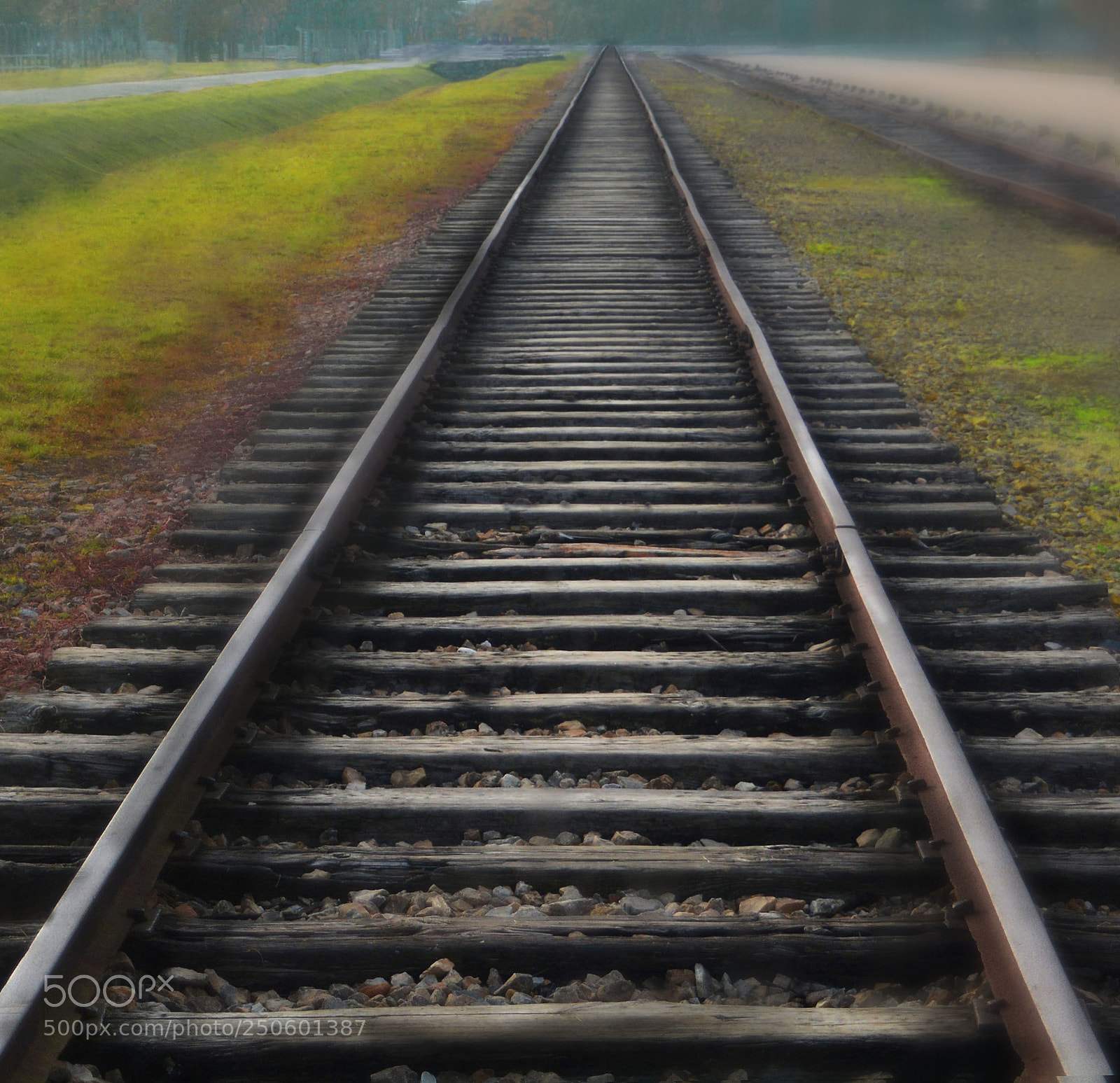 Nikon D5200 sample photo. Auschwitz rails photography