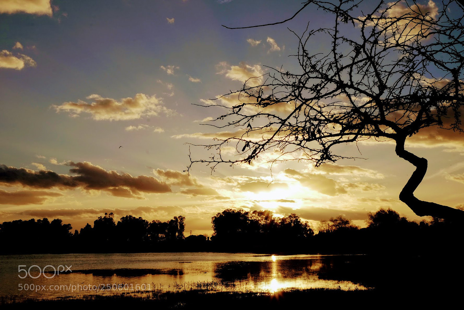 Fujifilm X-T10 sample photo. Doñana photography