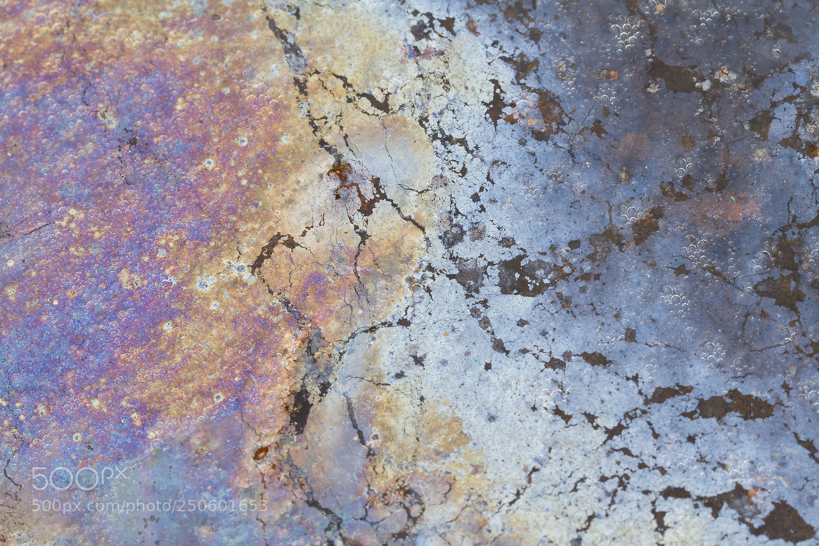 Canon EOS 7D sample photo. Iron-oxidizing bacteria photography