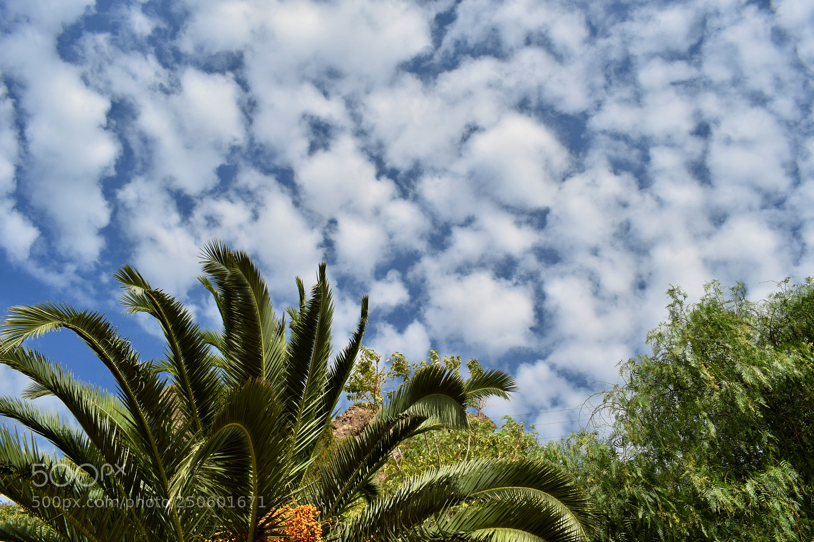 Nikon D5300 sample photo. Long time ago... photography