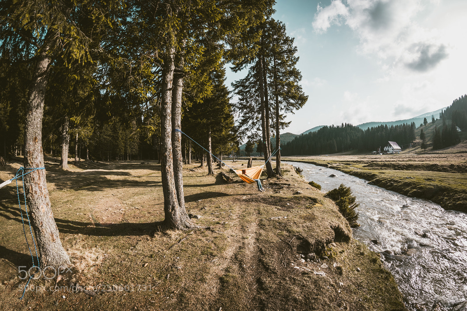 Nikon D5300 sample photo. Padina, romania photography