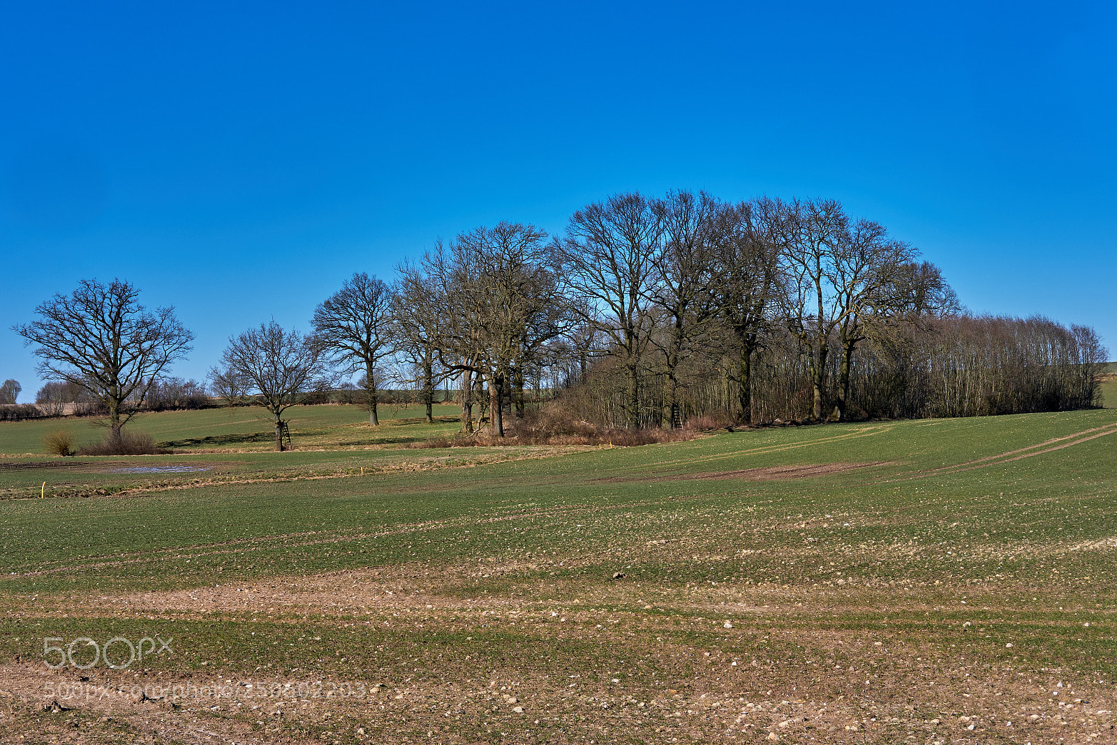 Fujifilm X-H1 sample photo. Blick ber die felder photography