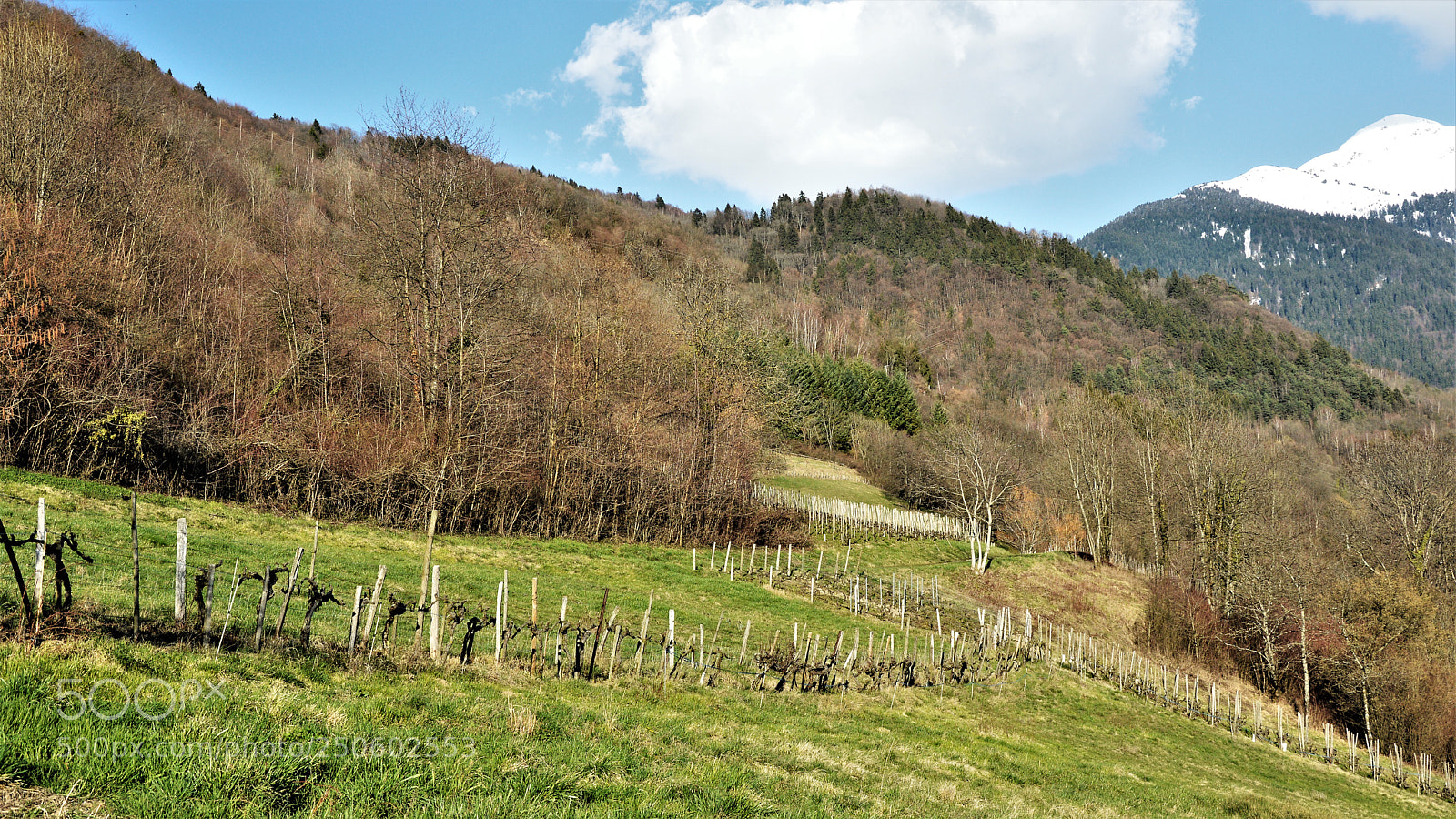 Nikon D3200 sample photo. Untitled photography