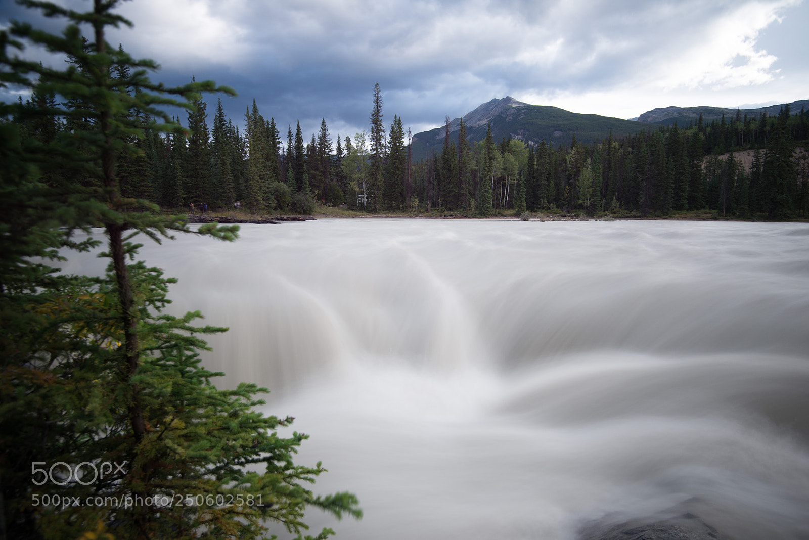 Nikon D800 sample photo. Athabasca falls photography