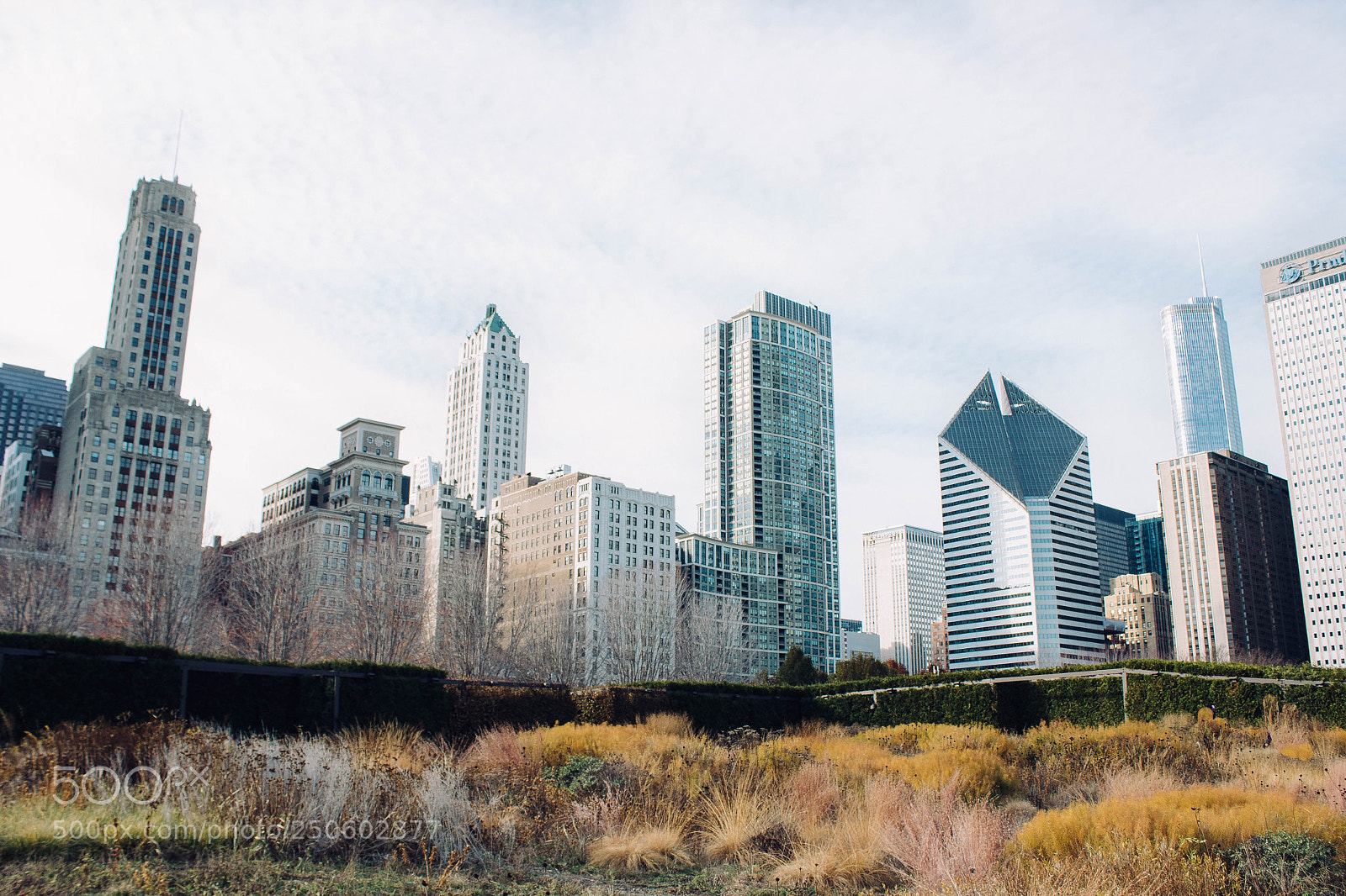 Canon EOS 1300D (EOS Rebel T6 / EOS Kiss X80) sample photo. Chicago in fall photography