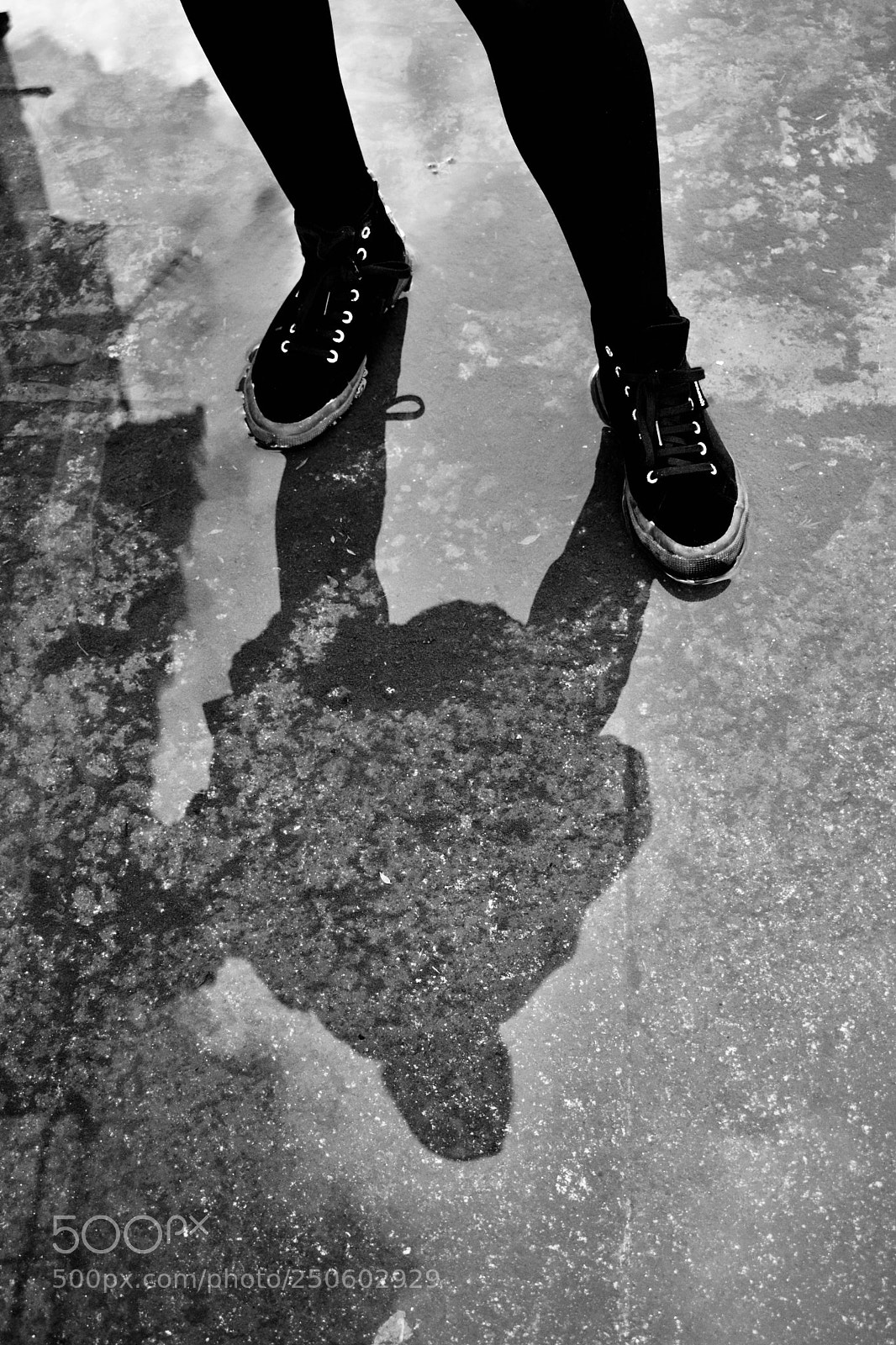 Nikon D3300 sample photo. Untitled photography