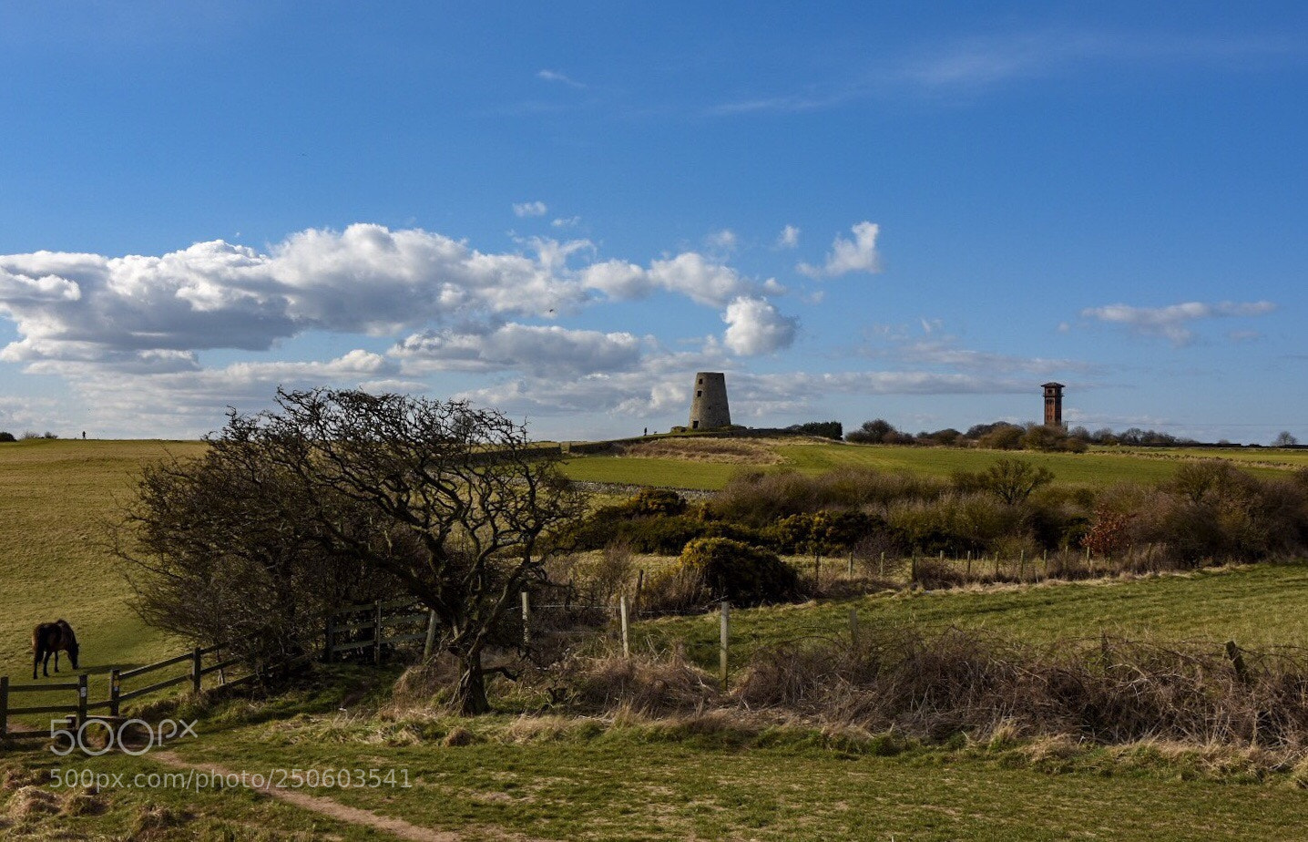 Nikon D7200 sample photo. Spring has sprung photography