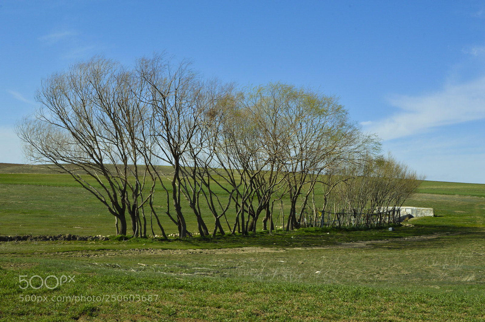 Nikon D3200 sample photo. Oban e mesi photography