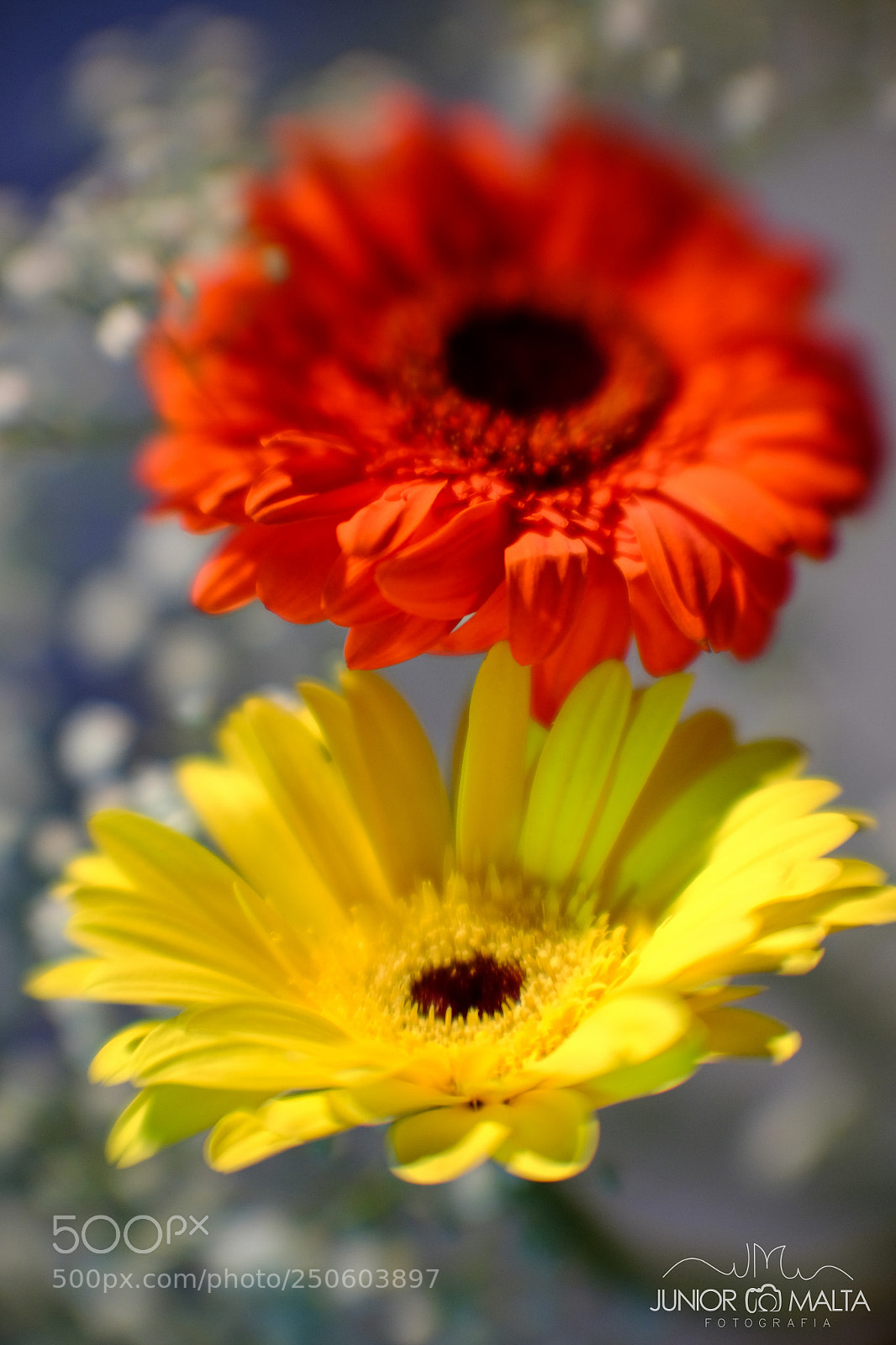 Fujifilm X-E2S sample photo. Jifilm xe2s velvia 16kp photography