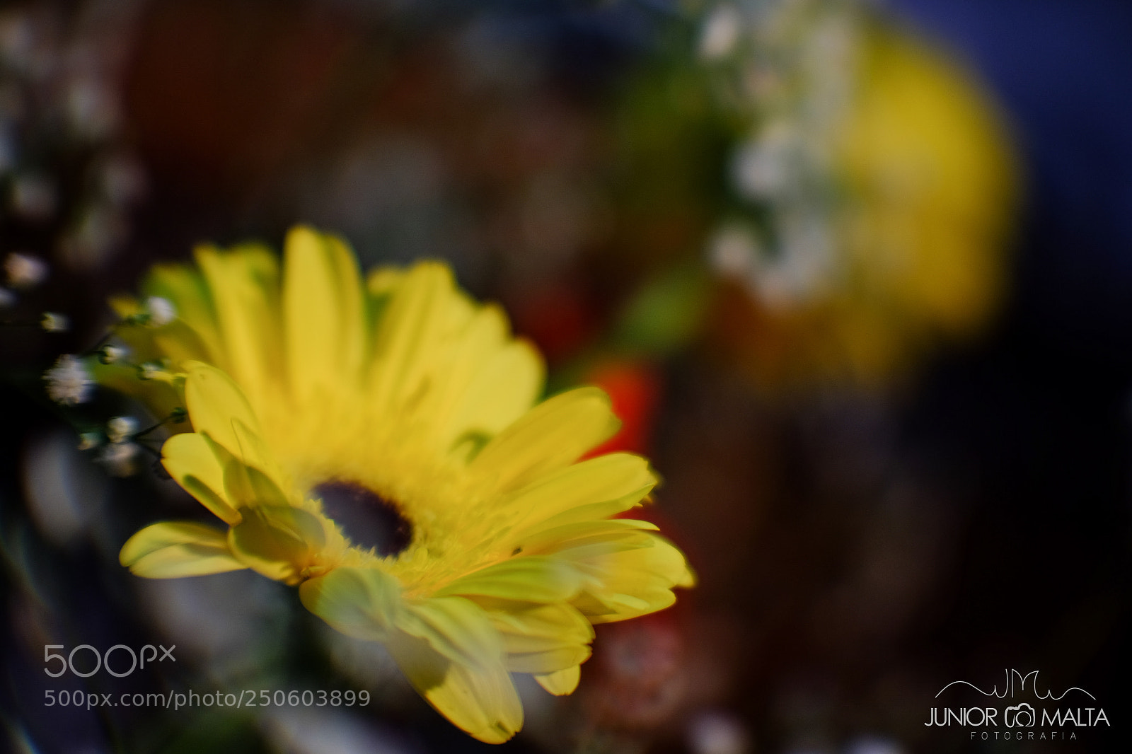 Fujifilm X-E2S sample photo. Jifilm xe2s velvia 16kp photography