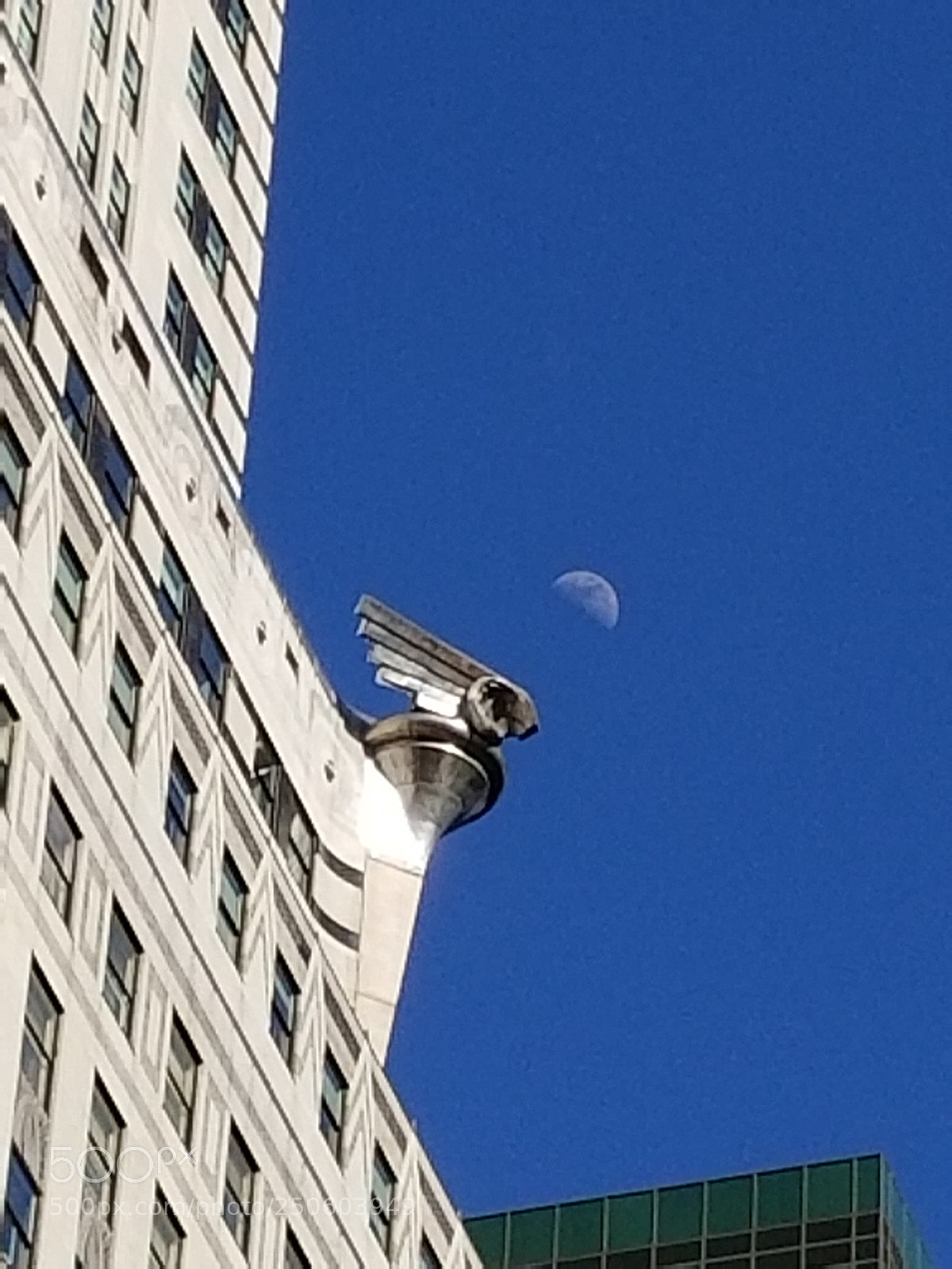 Samsung Galaxy S8 sample photo. Untitled photography