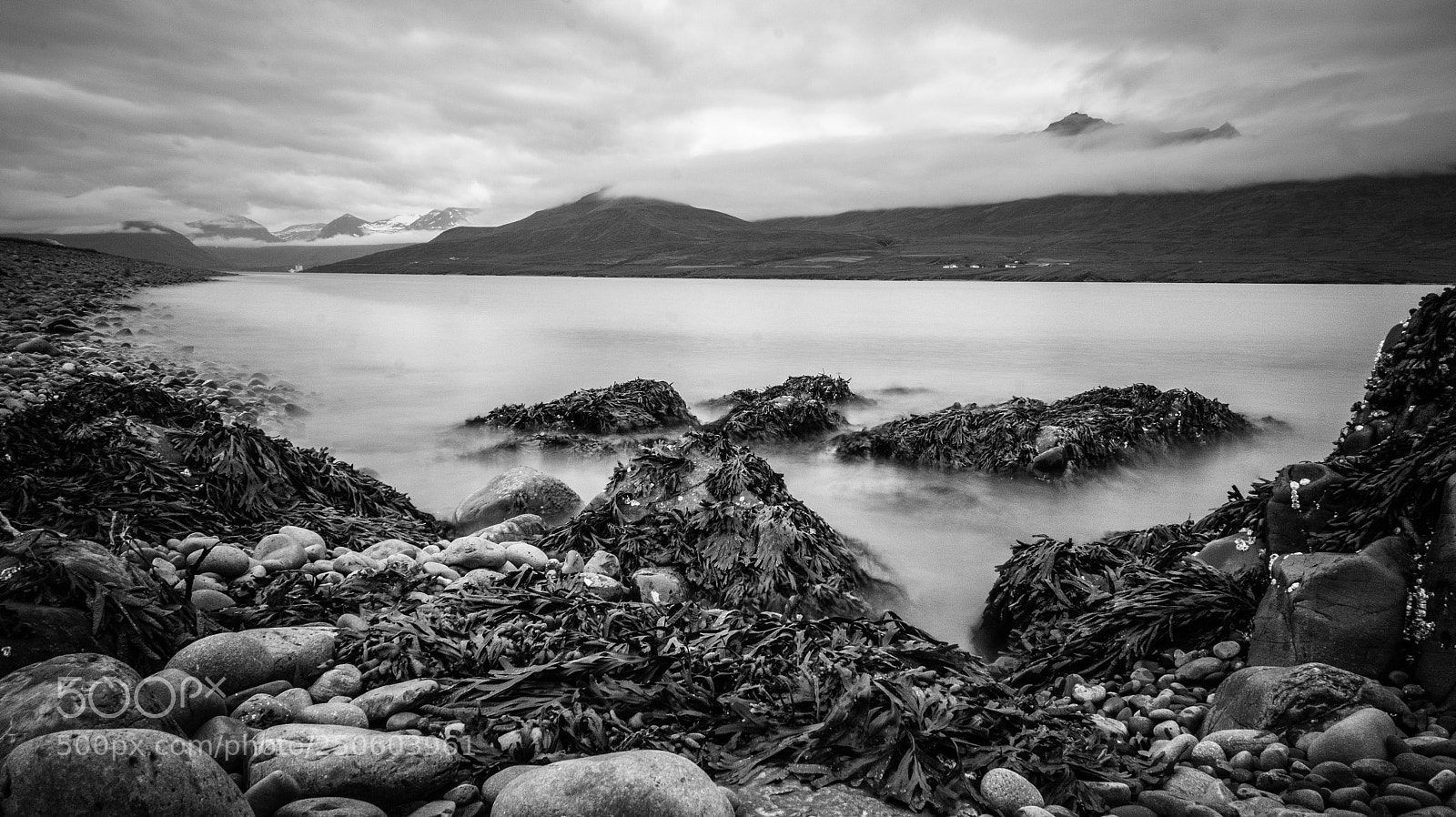 Sony Alpha NEX-5 sample photo. B/w beach photography