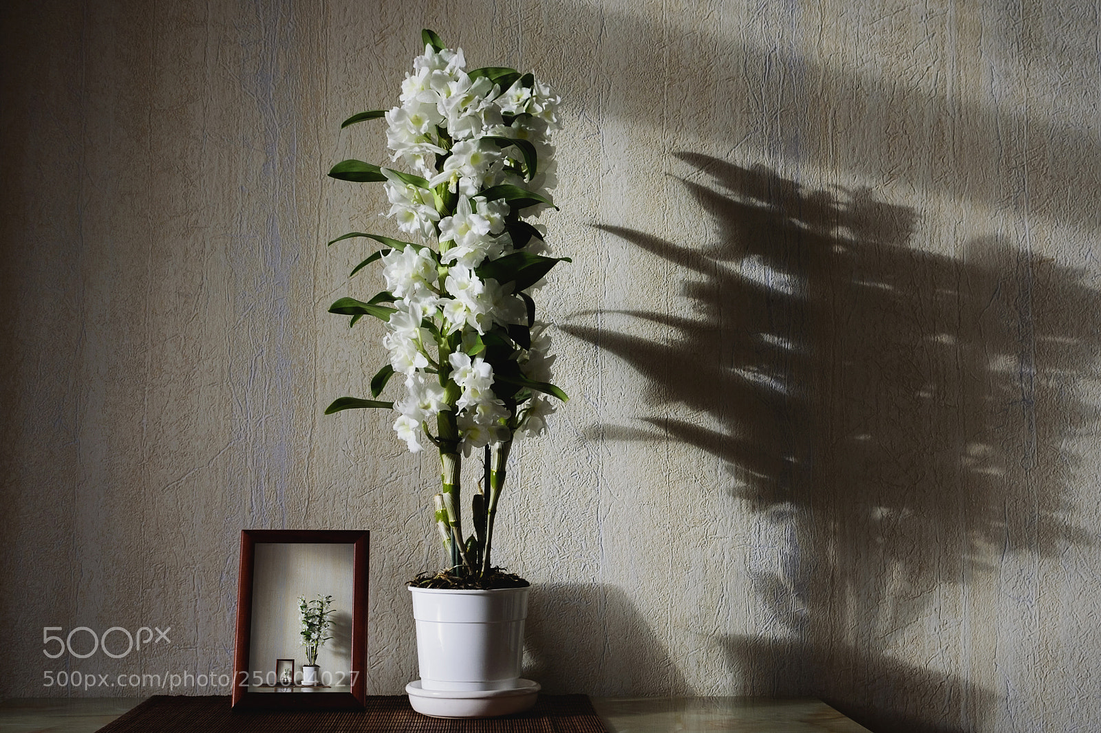 Nikon D750 sample photo. Flowers in the room photography