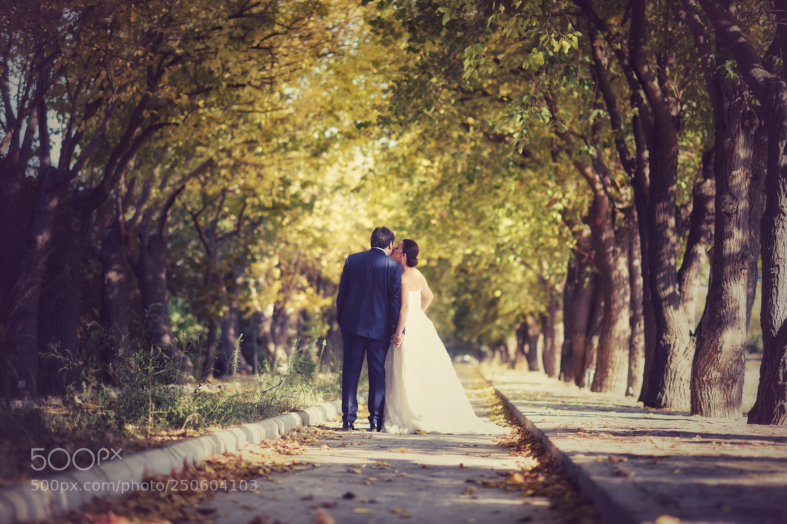 Nikon D810 sample photo. Untitled photography
