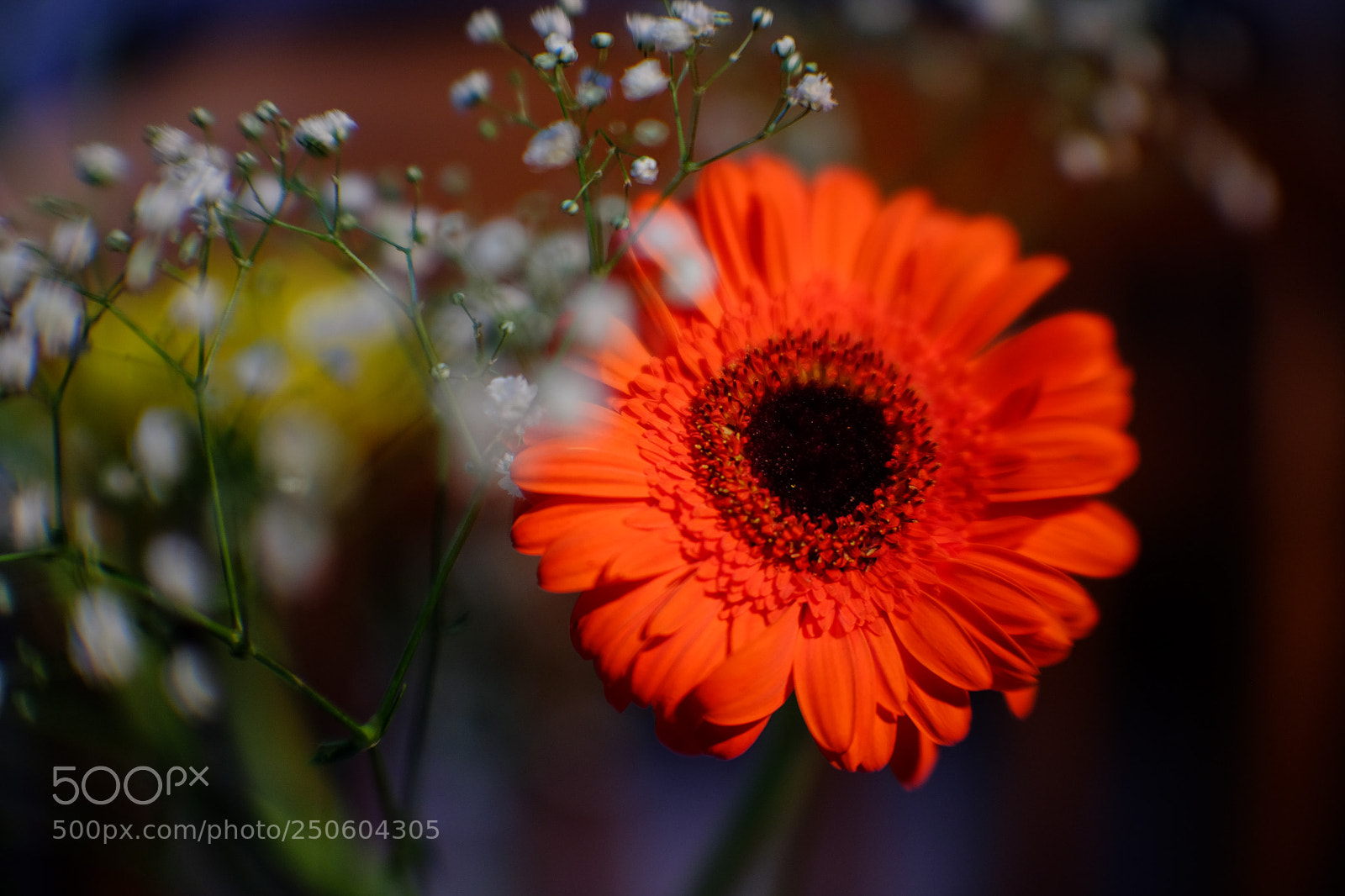 Fujifilm X-E2S sample photo. Jifilm xe2s velvia 16kp photography