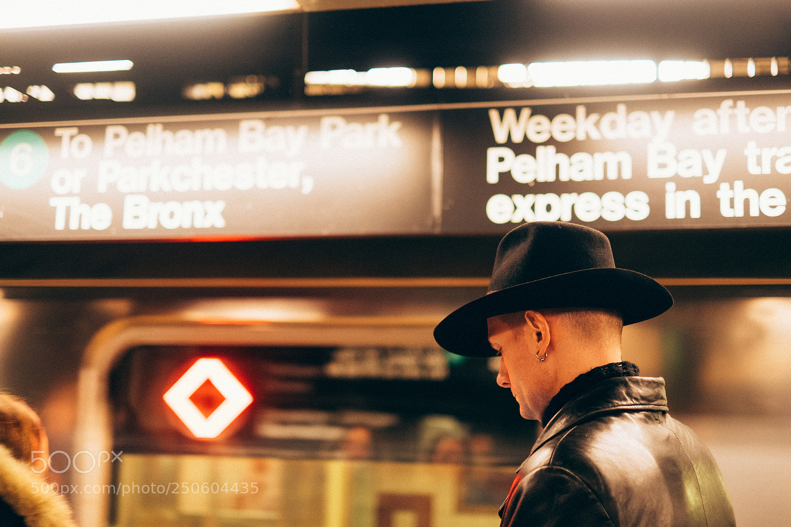Fujifilm X-T1 sample photo. Silent assassin photography