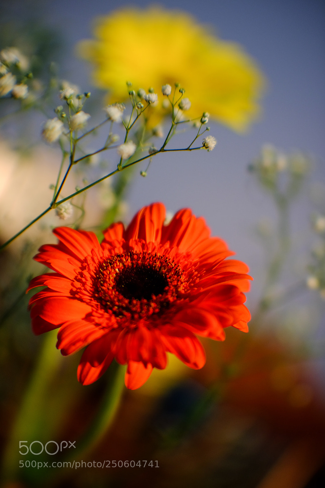 Fujifilm X-E2S sample photo. Jifilm xe2s velvia 16kp photography