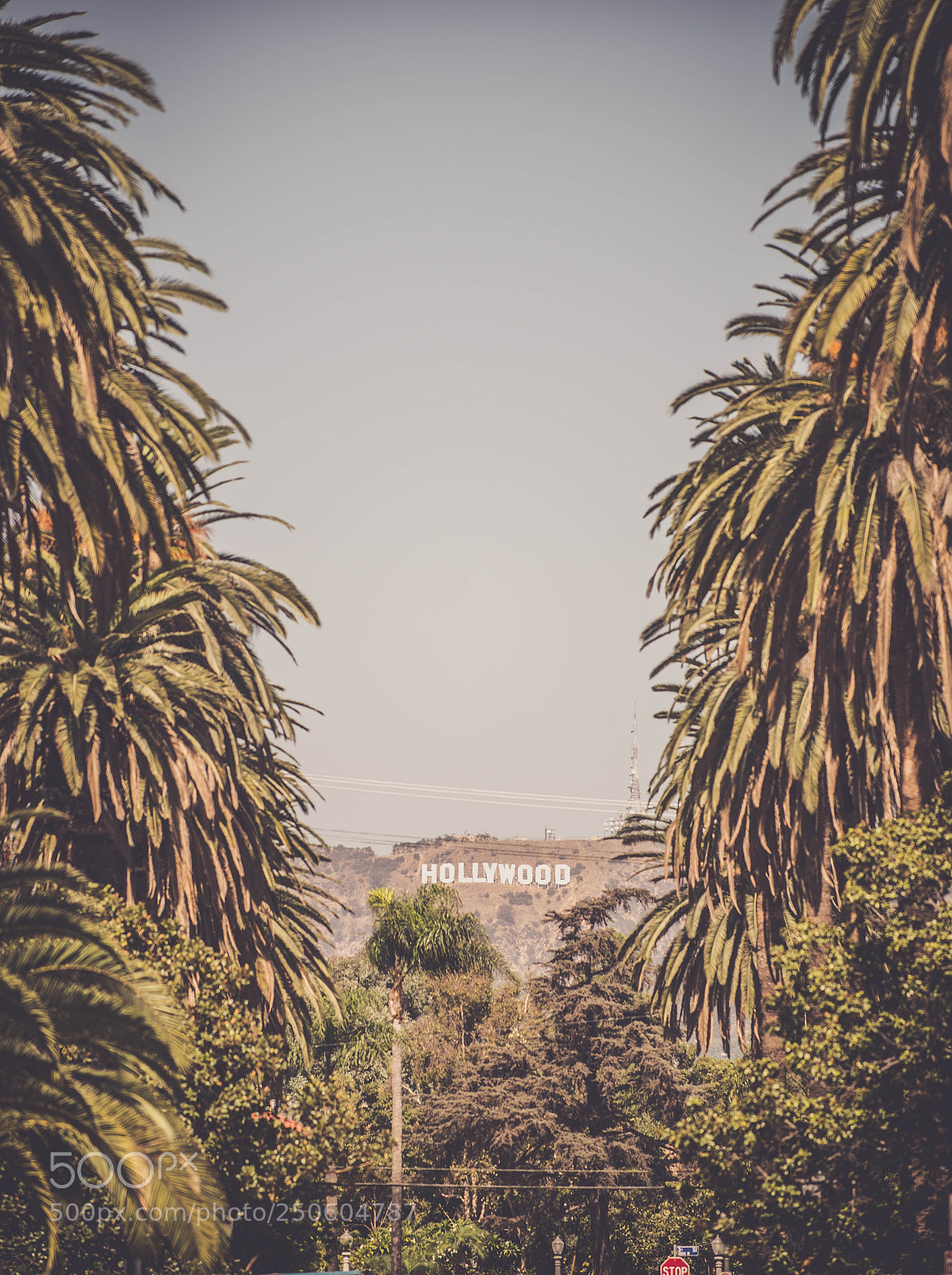 Nikon D610 sample photo. Hollywood sign photography