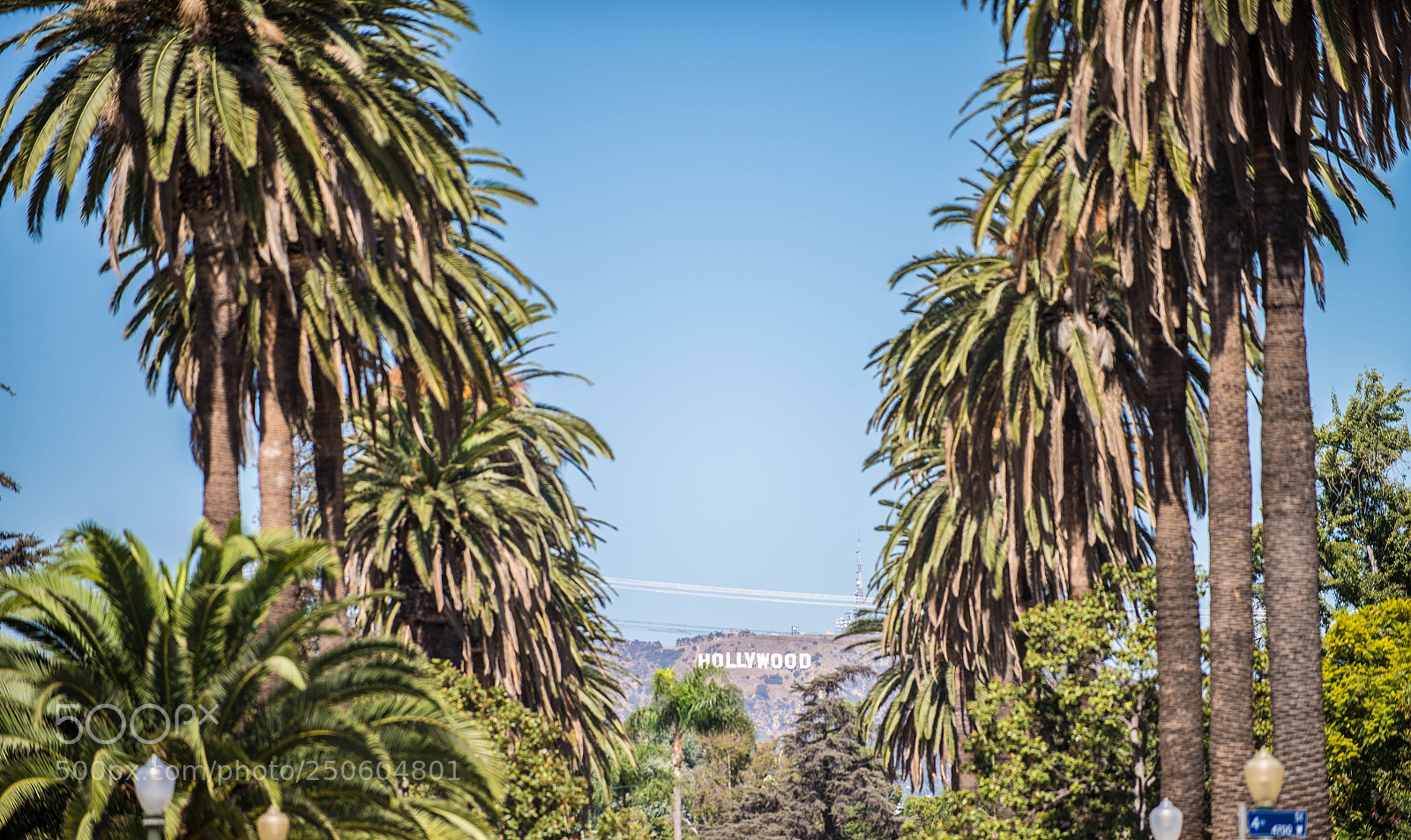 Nikon D610 sample photo. Hollywood sign photography