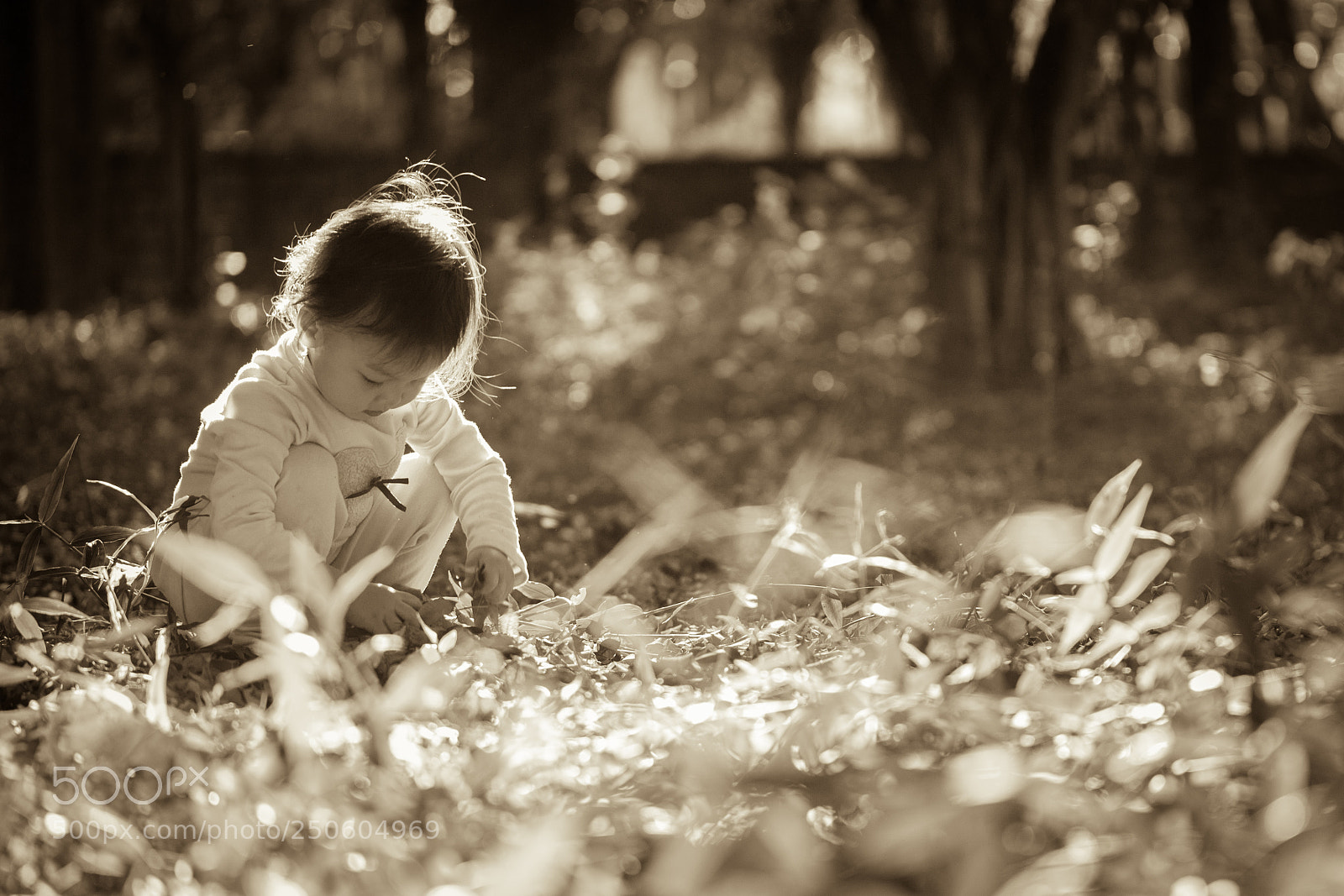 Canon EOS 5D Mark II sample photo. Little girl photography