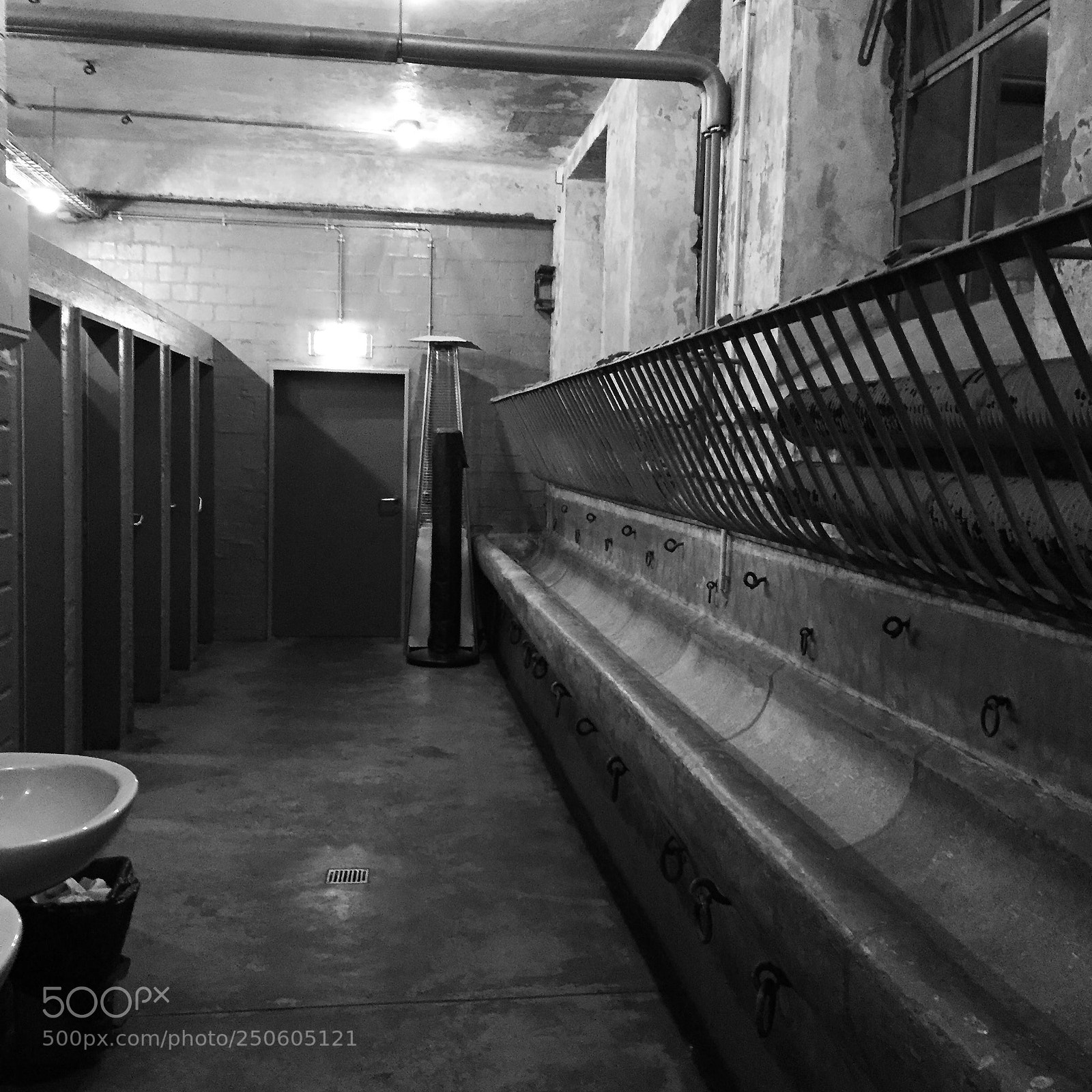 Apple iPhone 6 sample photo. Toilettes originales photography