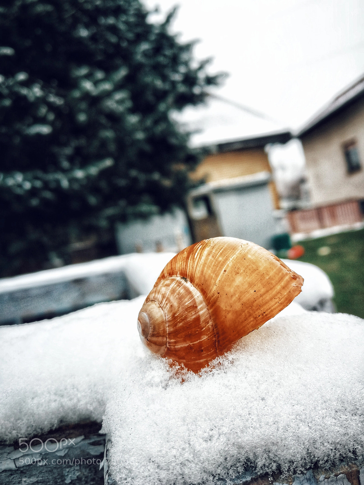 HUAWEI P10 sample photo. Untitled photography