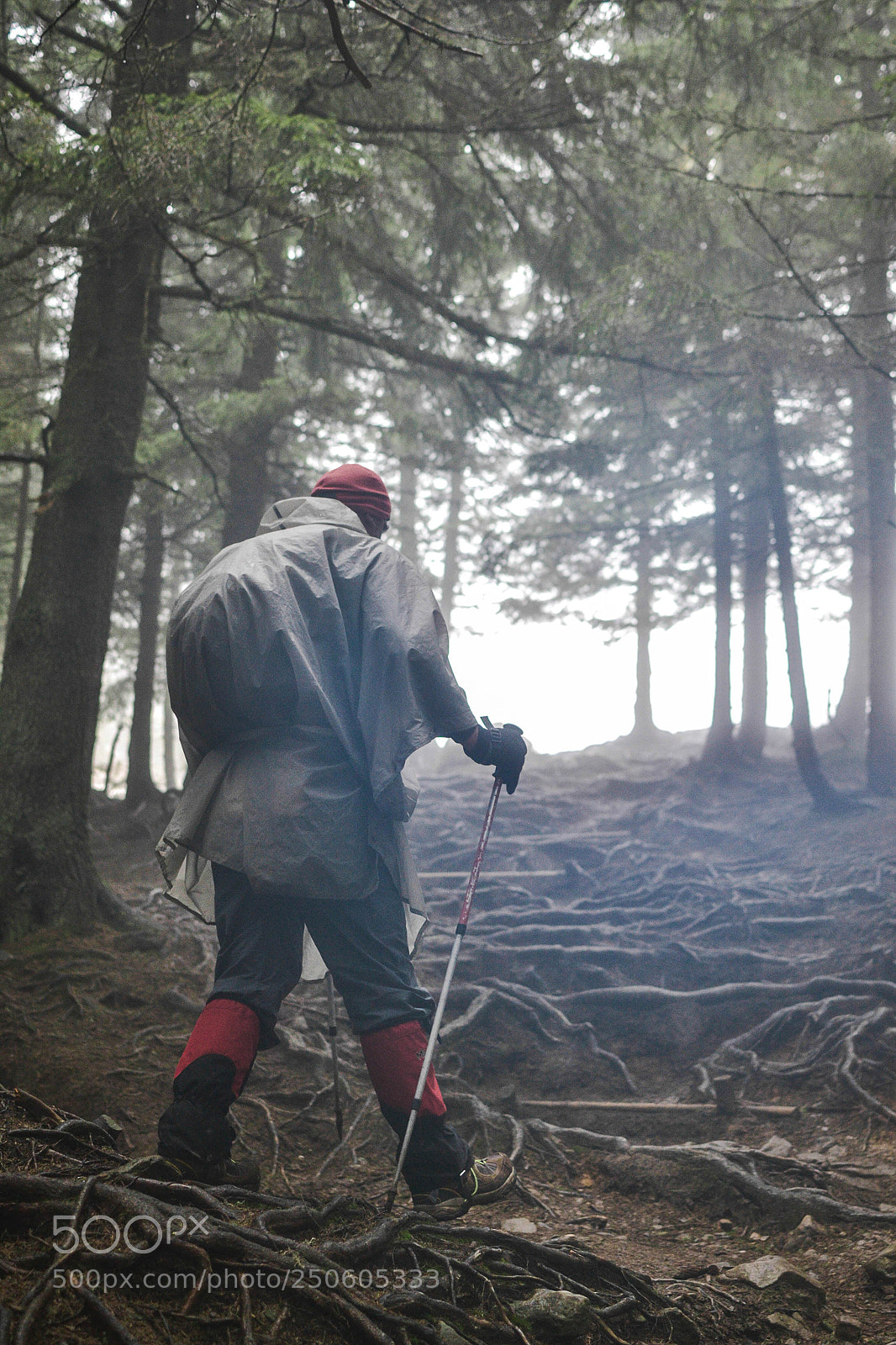 Nikon D3100 sample photo. Hiker photography