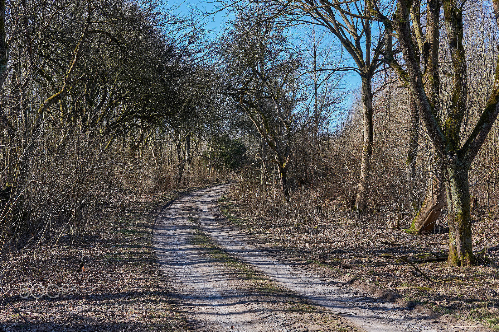Fujifilm X-H1 sample photo. Feld- und waldwege in photography