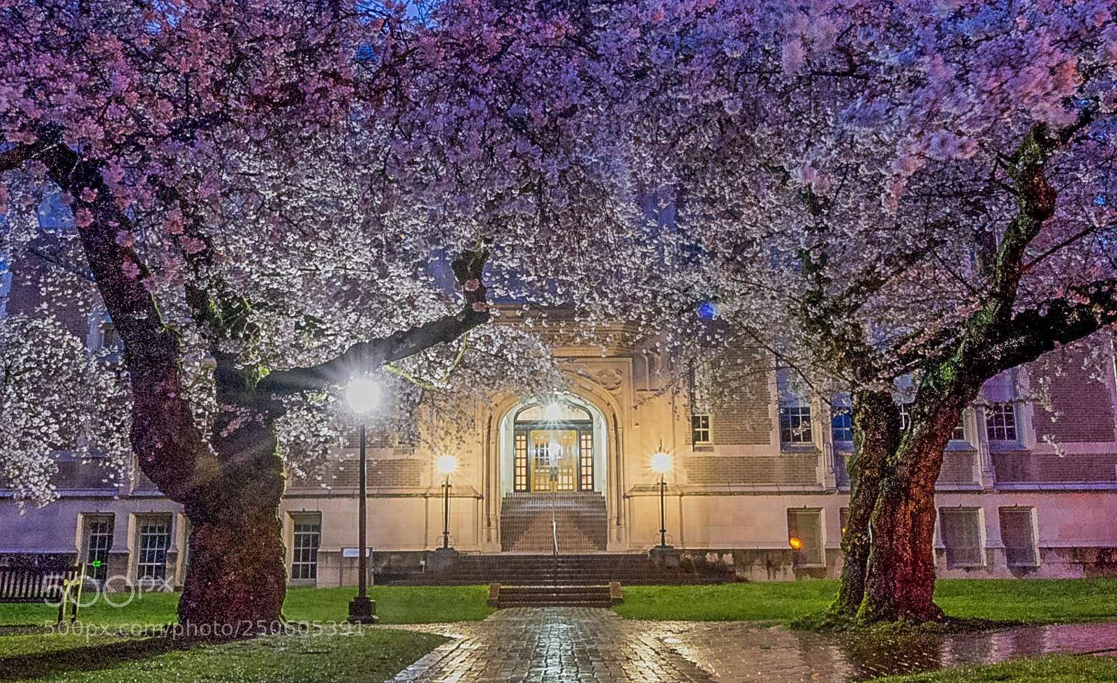 Nikon D810 sample photo. Untitled photography