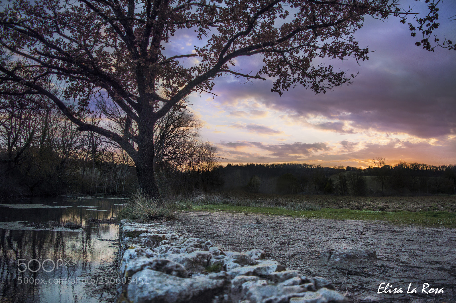 Nikon D3200 sample photo. Sunset photography