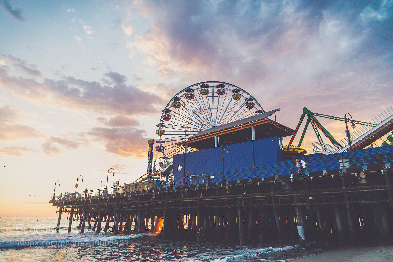 Nikon D610 sample photo. Santa monica pier at photography