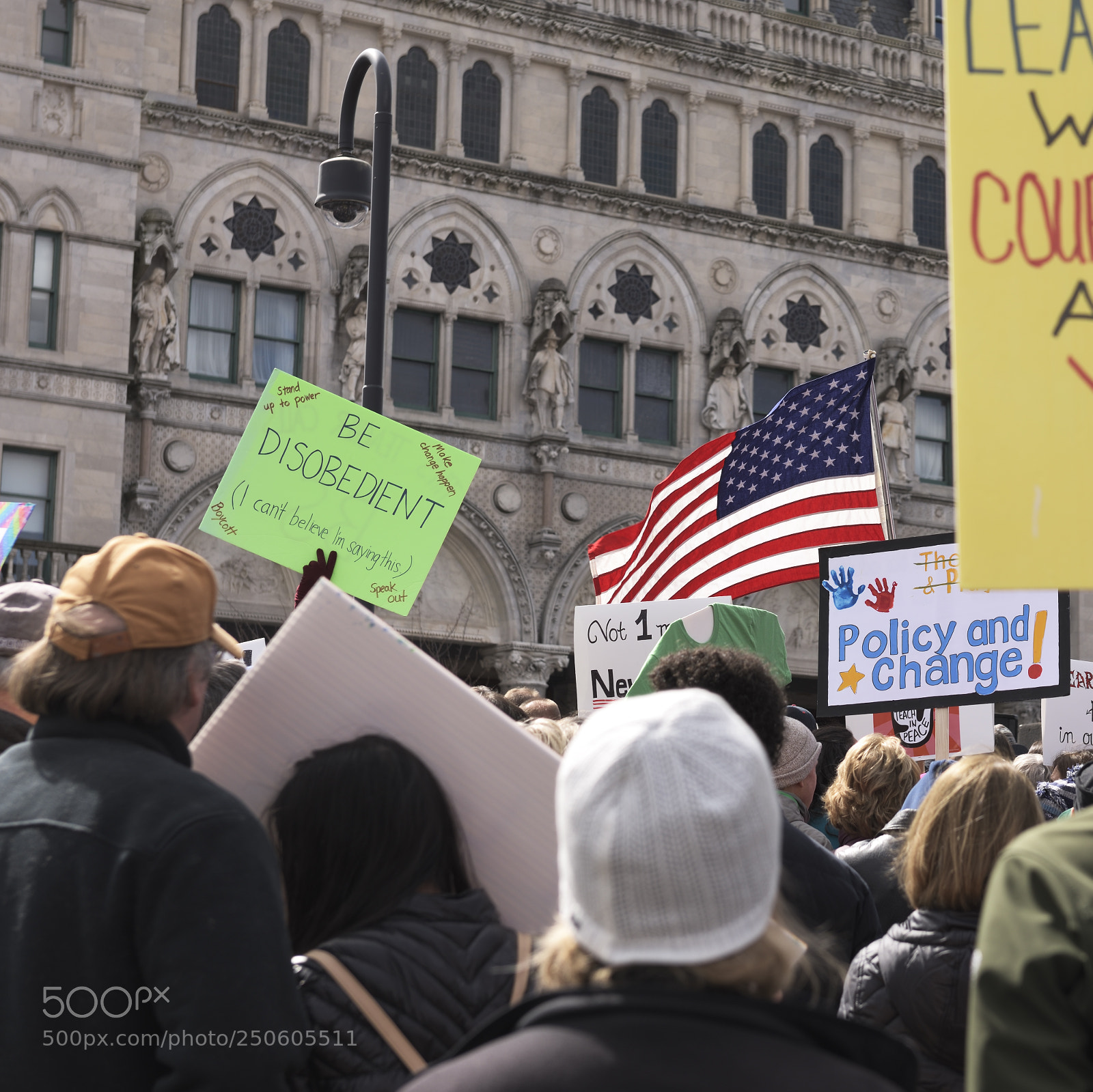 Nikon D810 sample photo. We the people have photography