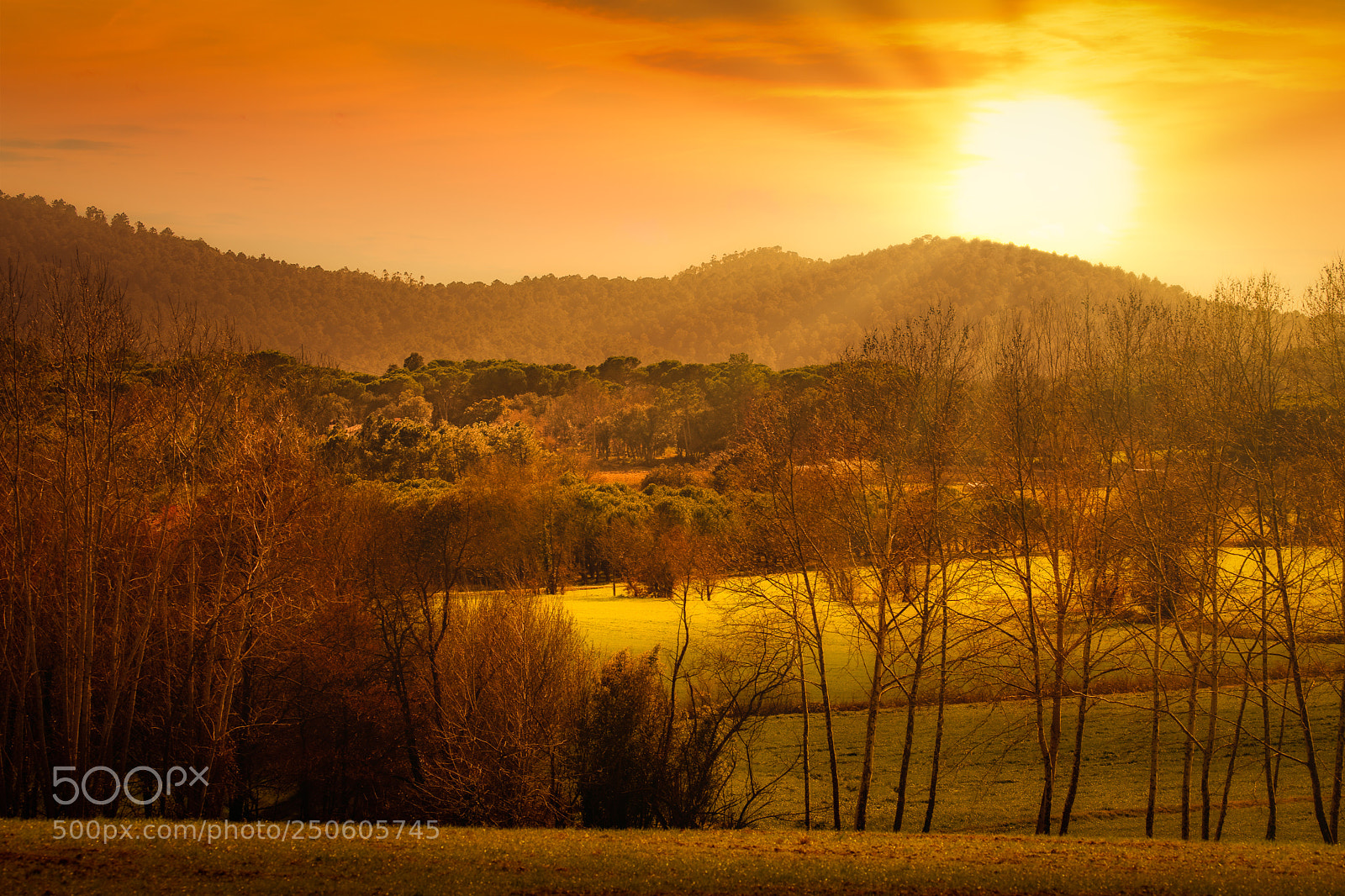 Nikon D500 sample photo. Last golden hour of photography