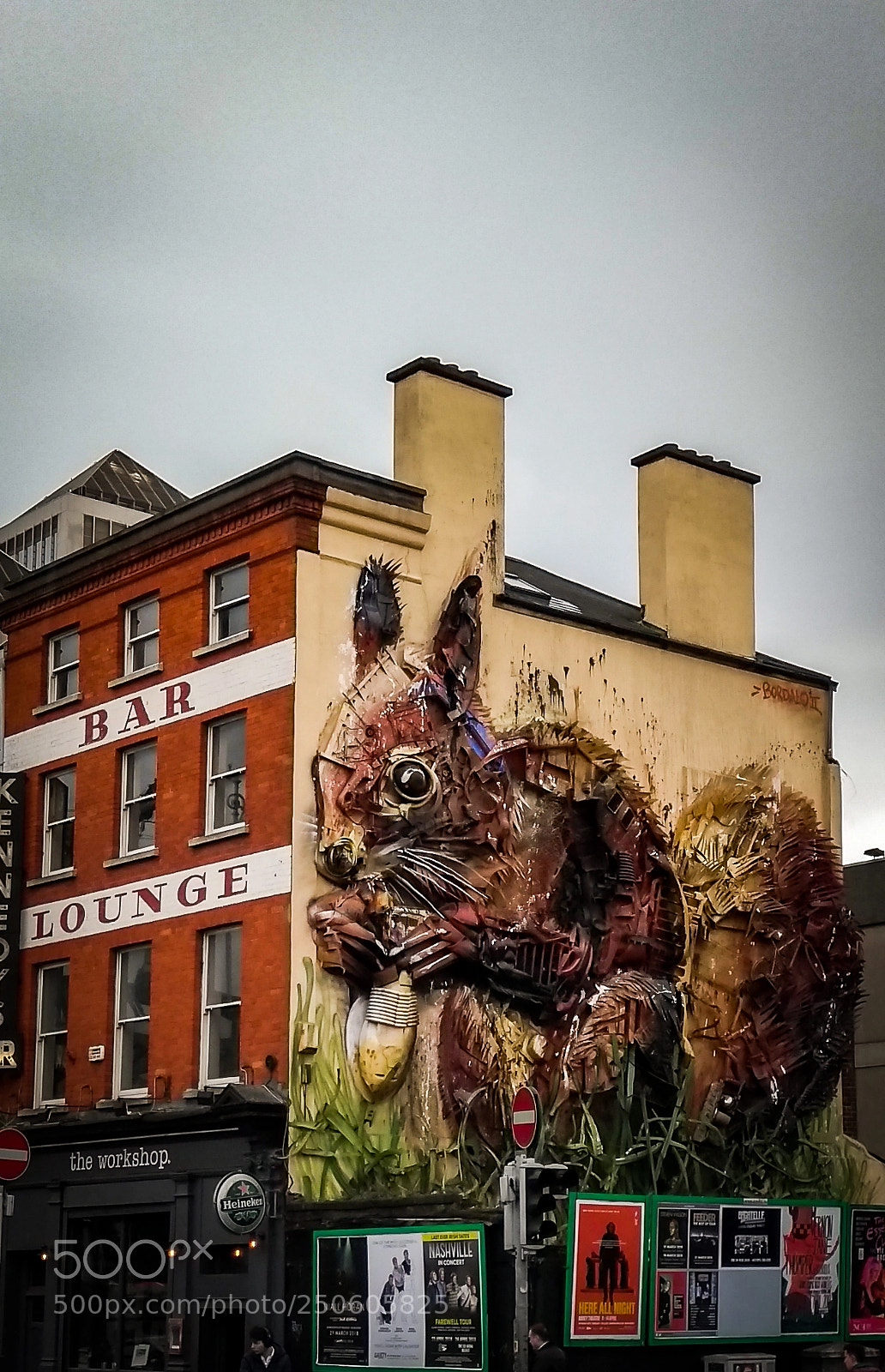 Motorola Moto G (5th Gen) sample photo. Squirrel! photography