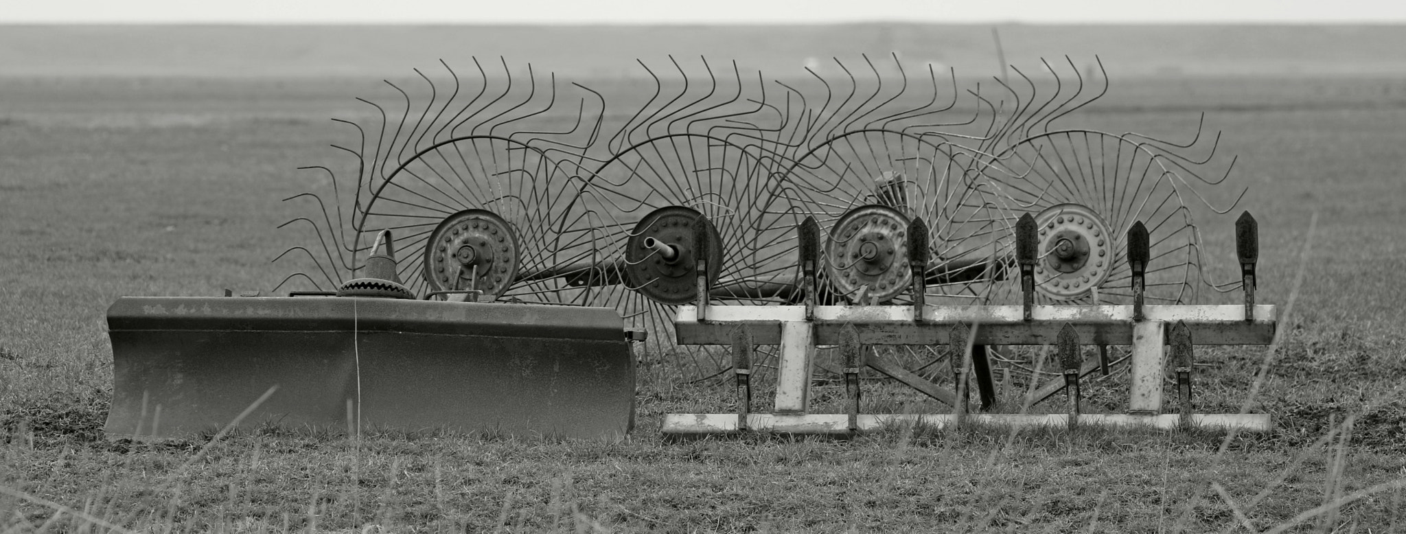 Canon EOS 5D Mark IV sample photo. Black/white photography