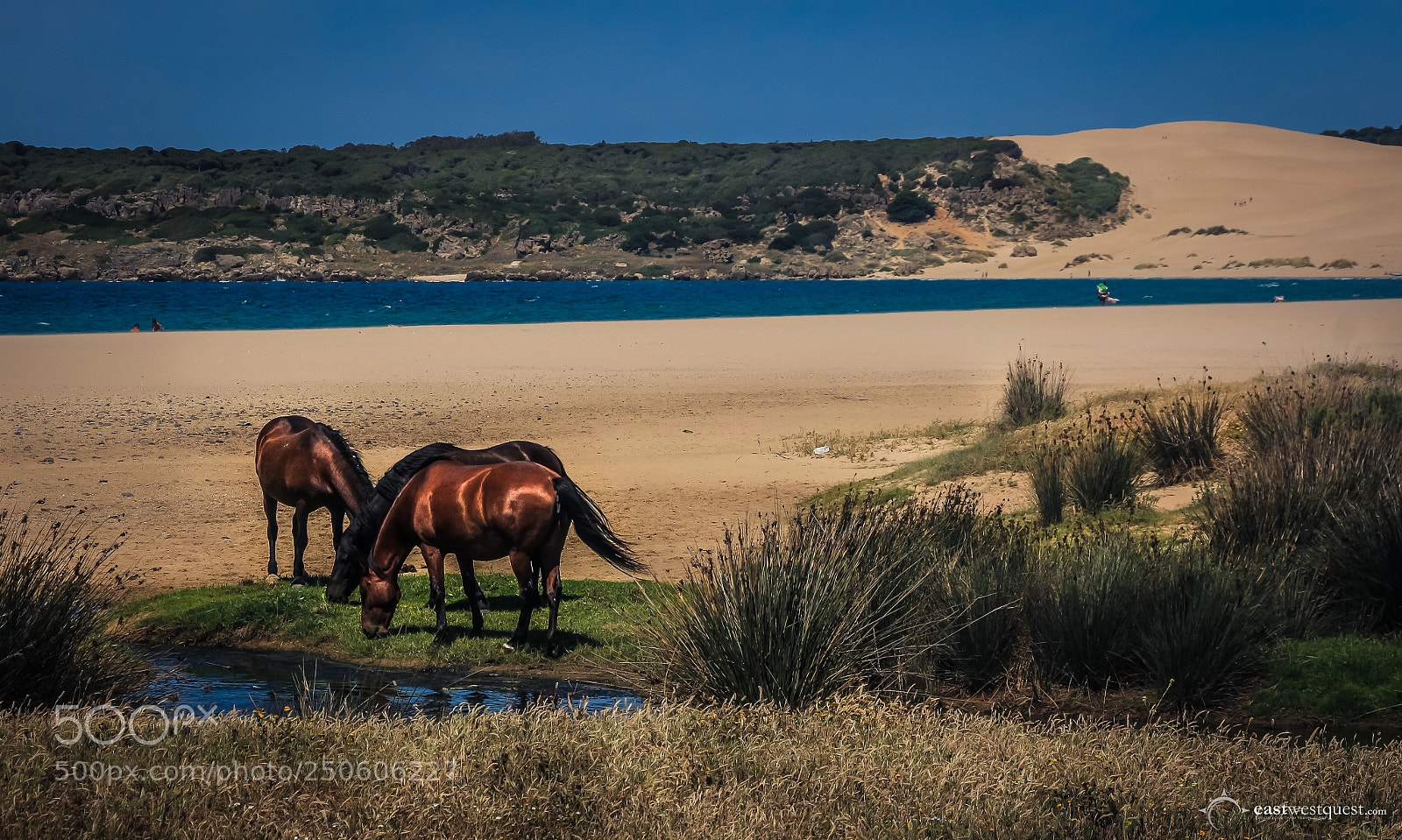 Canon EOS 700D (EOS Rebel T5i / EOS Kiss X7i) sample photo. Sand dunes of bolonia photography
