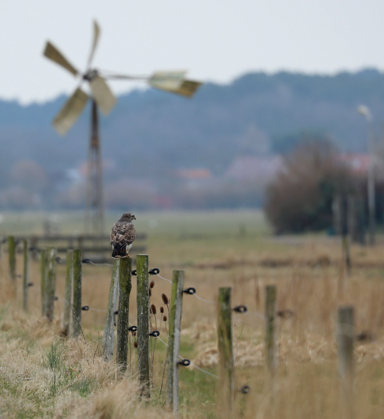 Canon EOS 5D Mark IV sample photo. Nature photography