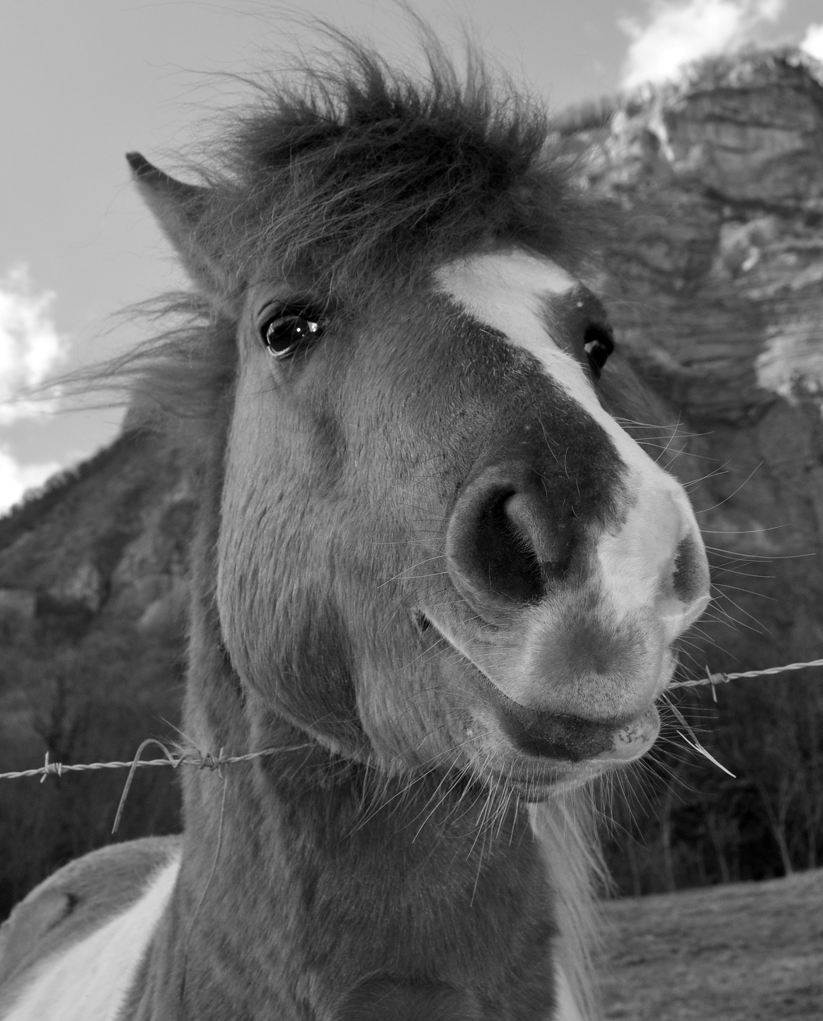 Nikon D90 sample photo. Smily photography